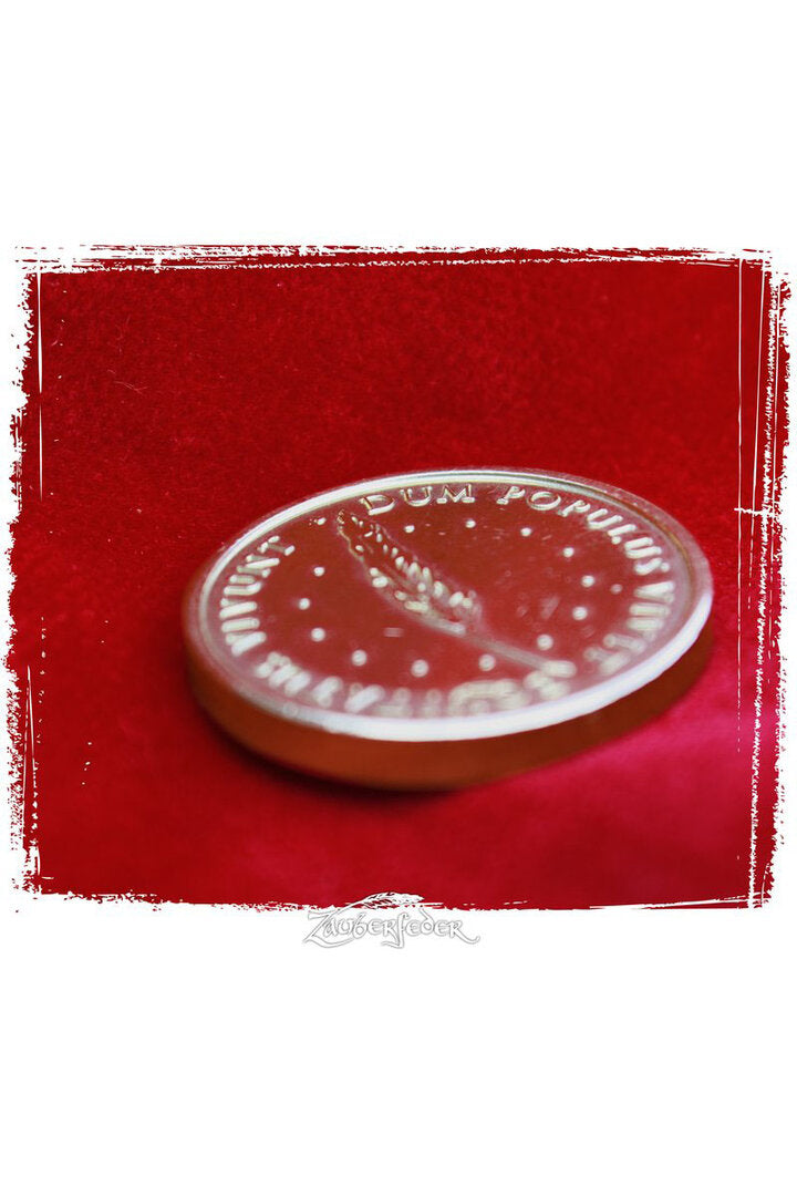 Imagen única de: Juego De Monedas