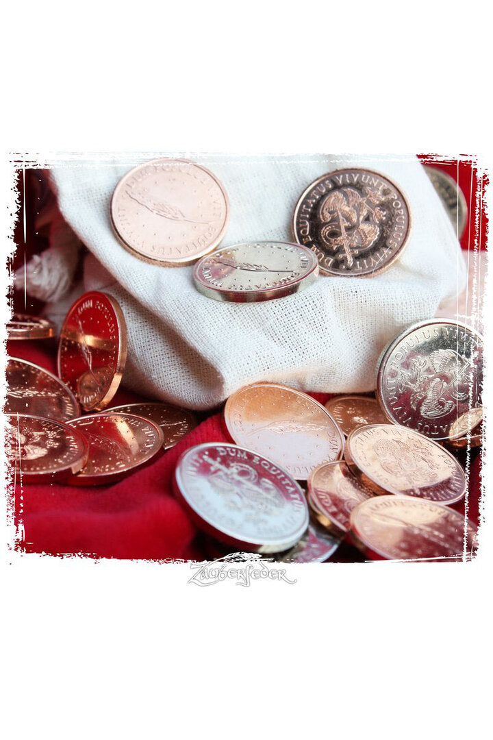 Imagen única de: Juego De Monedas