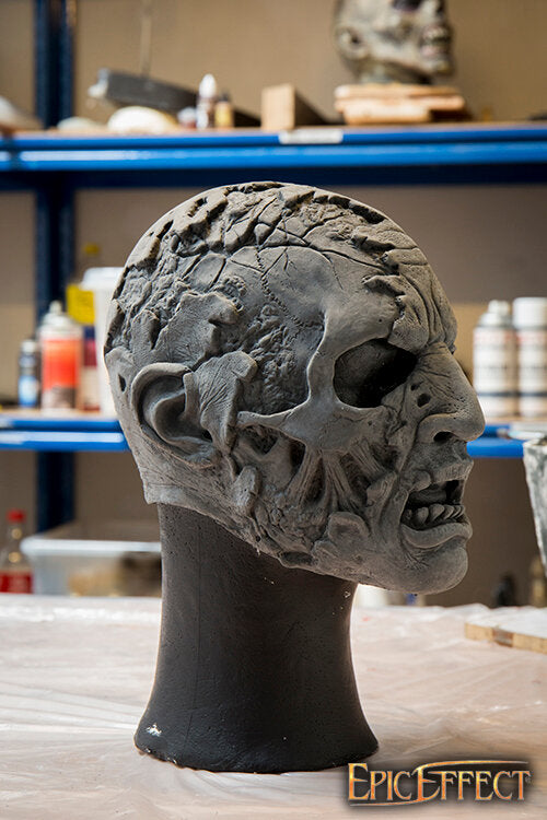 Imagen única de: Zombi De Media Cara