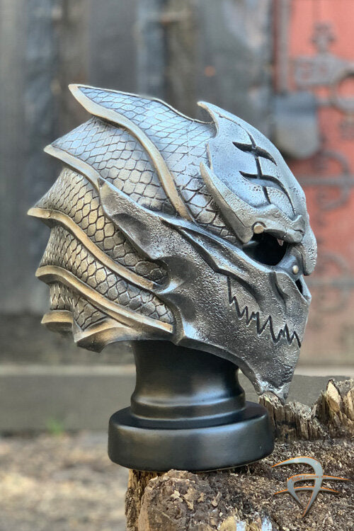 Imagen única de: Casco De Guerrero - Pu