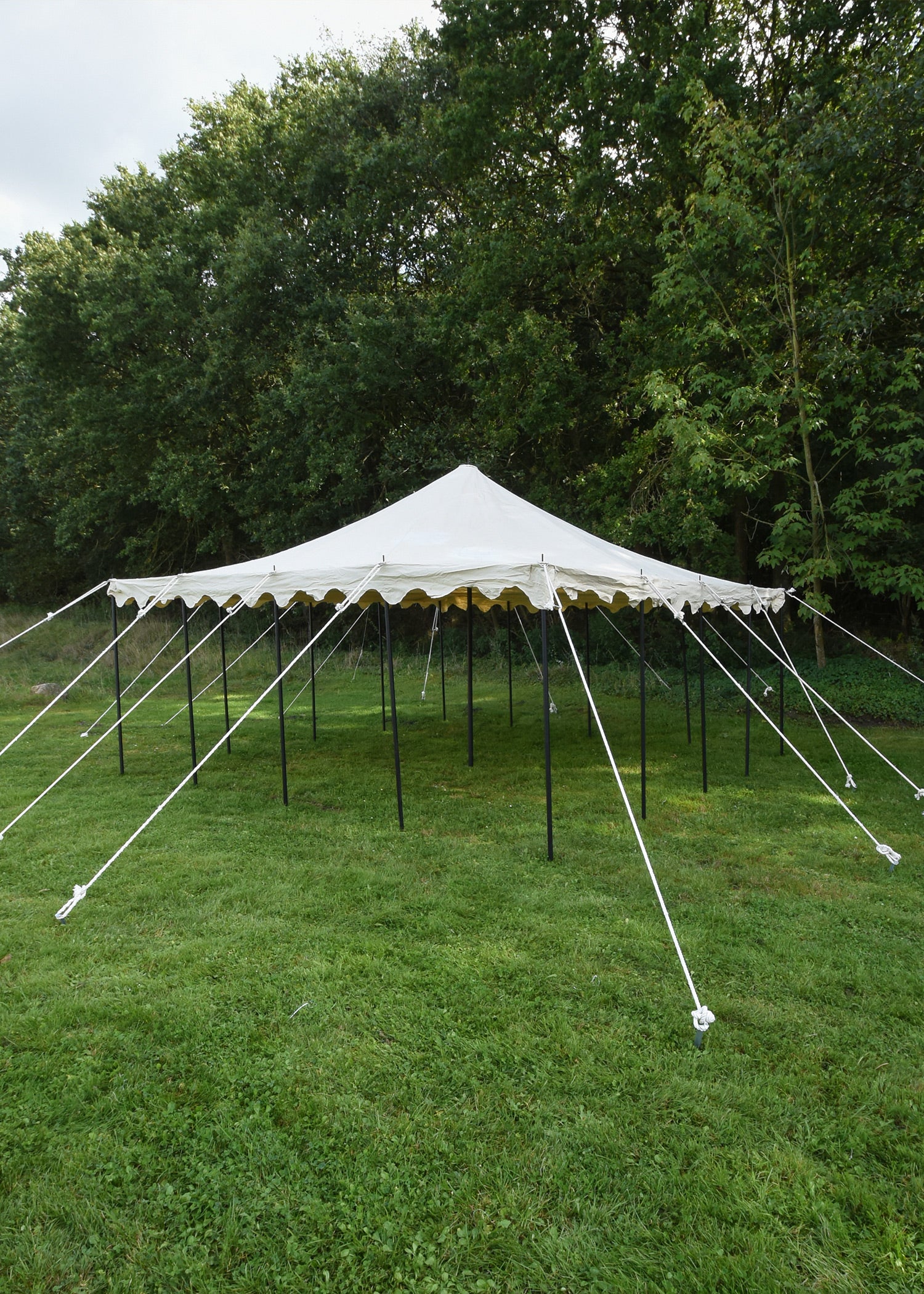 Imagen única de: Tienda De Campaña Para Caballero Herold, 6 X 6 M, 425 G/m², Color Natural