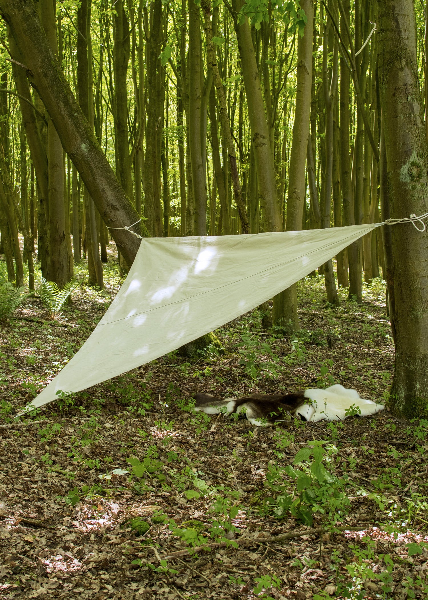 Imagen única de: Toldo/lona De Almacenamiento Triangular Con Trabillas, 250 G/m², Color Natural
