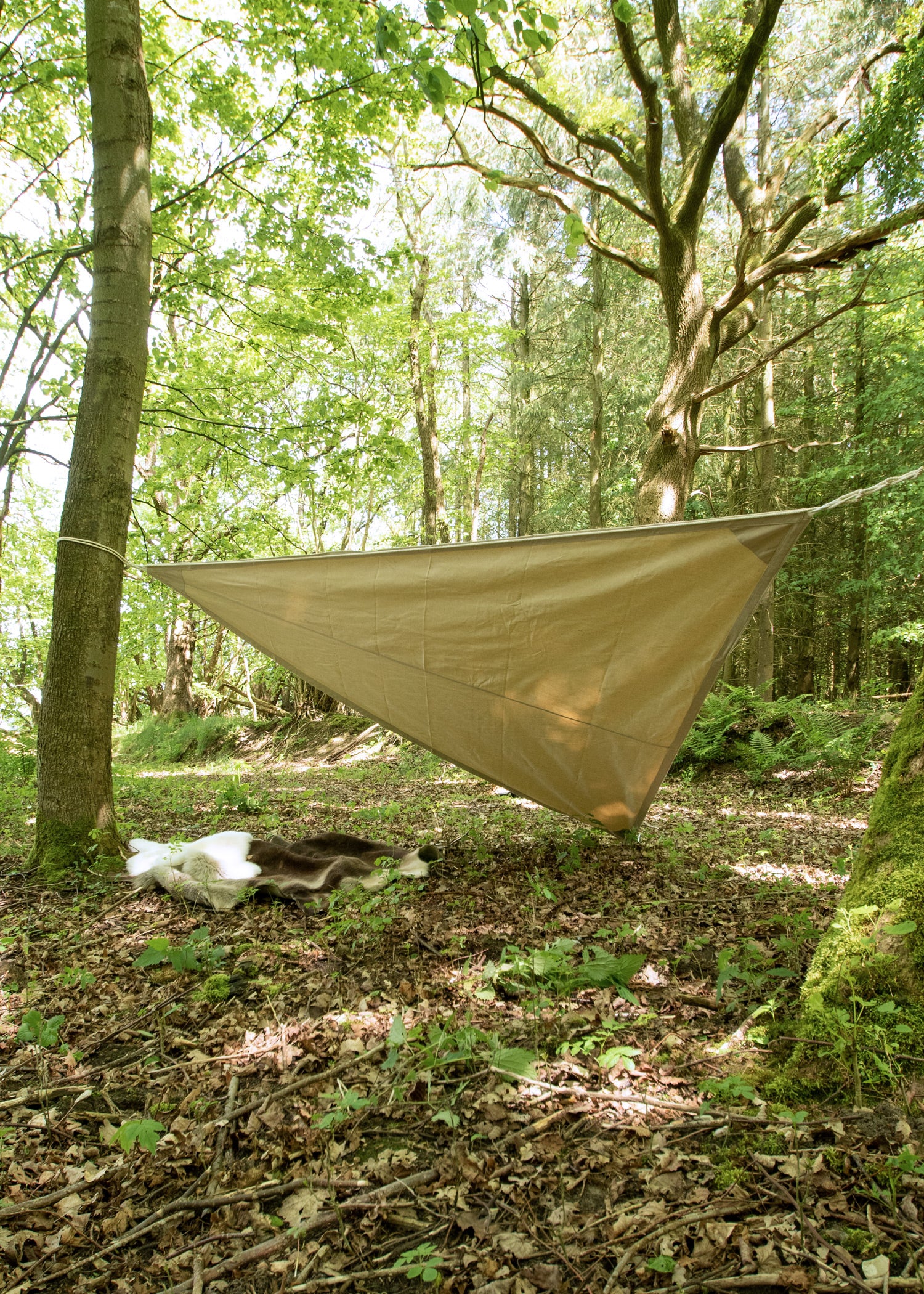 Imagen única de: Toldo/lona De Almacenamiento Triangular Con Trabillas, 250 G/m², Color Natural