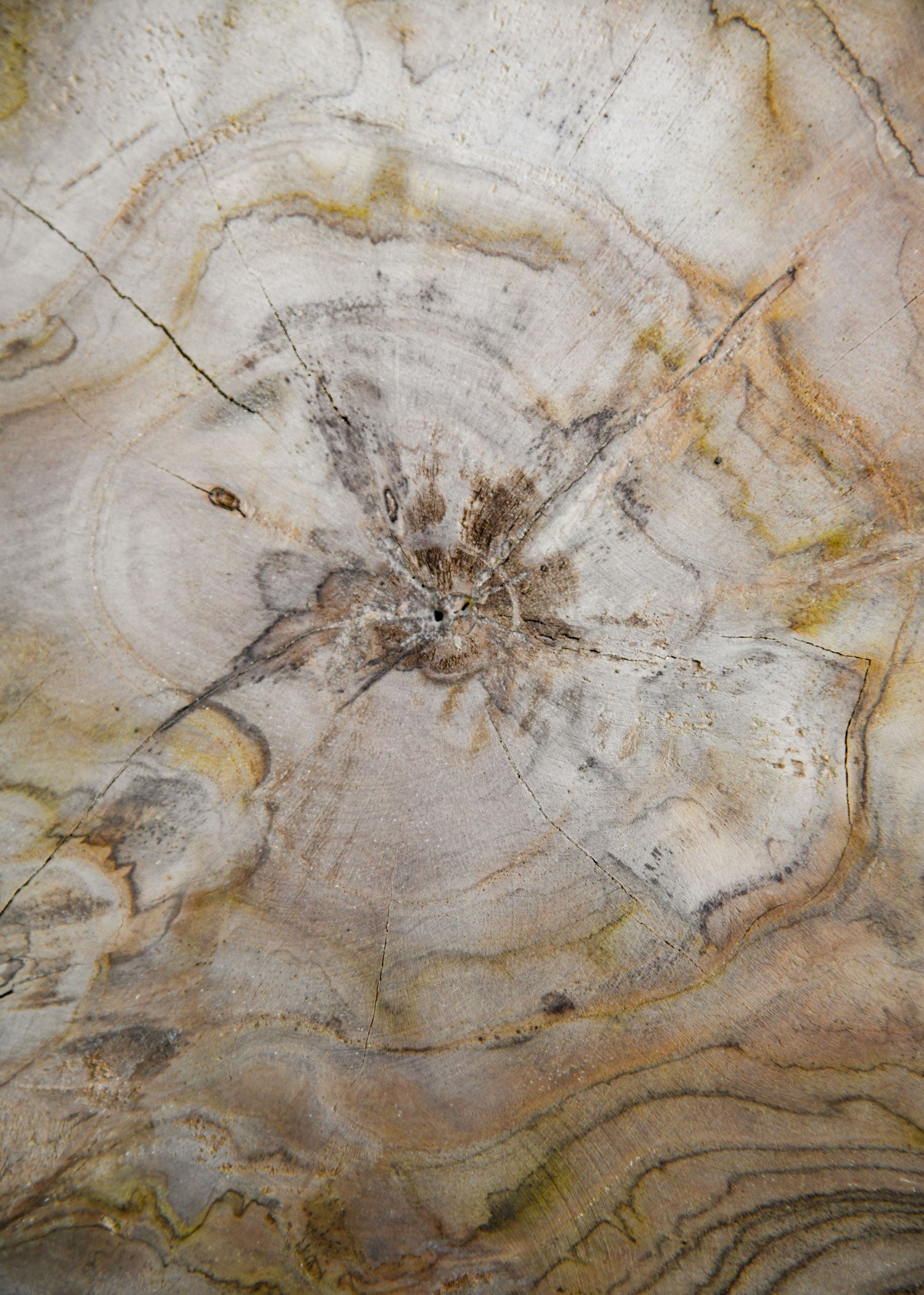 Imagen única de: Taburete Pequeño De Madera De Aprox. 31 Cm De Altura.