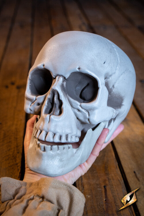 Imagen única de: Cráneo 21Cm