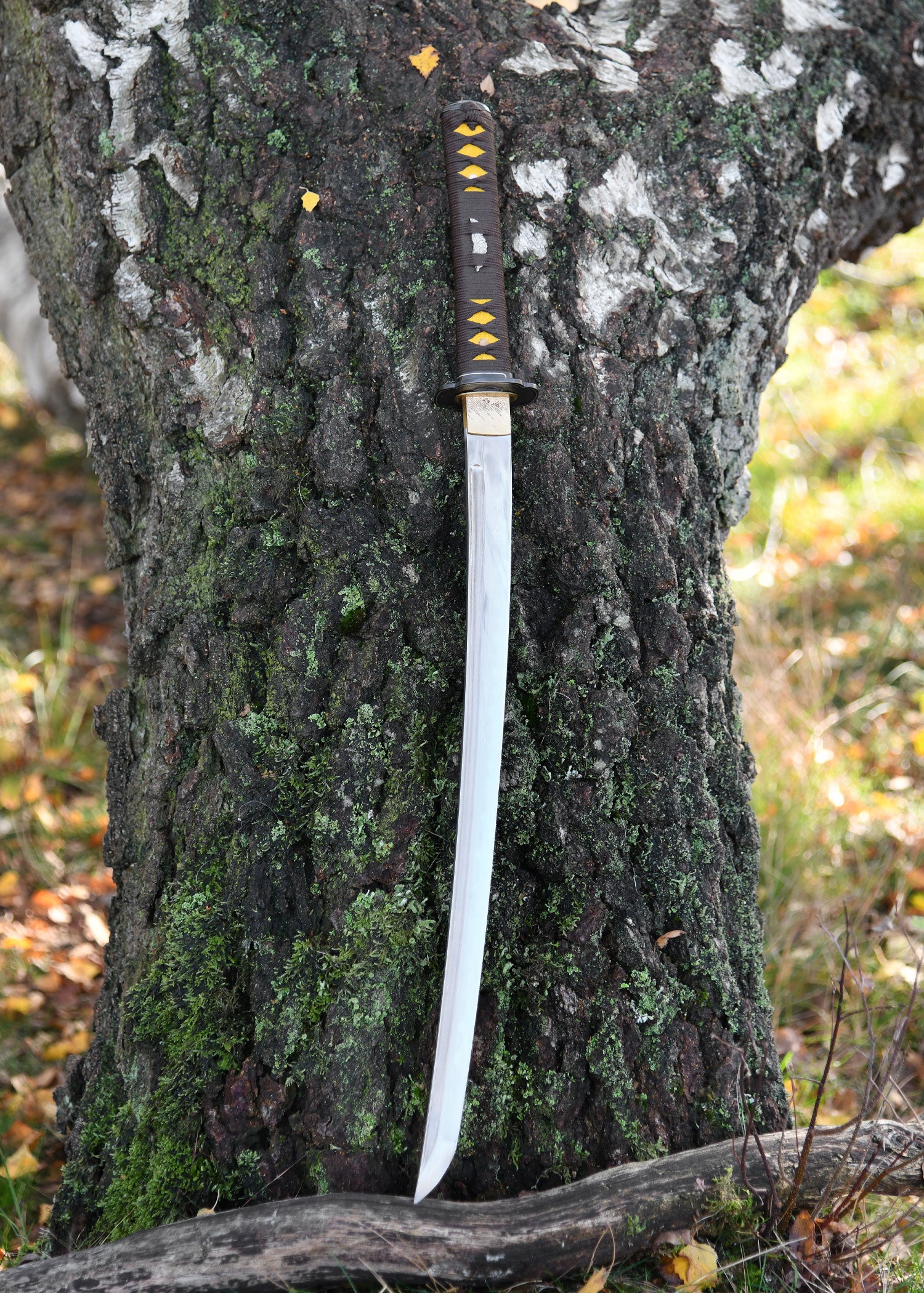 Imagen única de: Senshi Erai Hito No Wakizashi, Battleblades