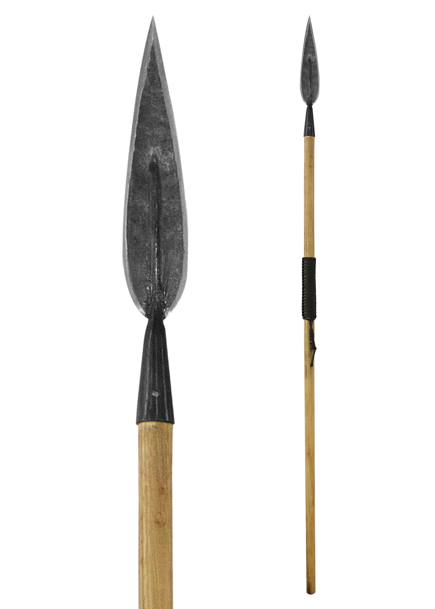 Imagen única de: Lanza Congo Africana, Cóndor