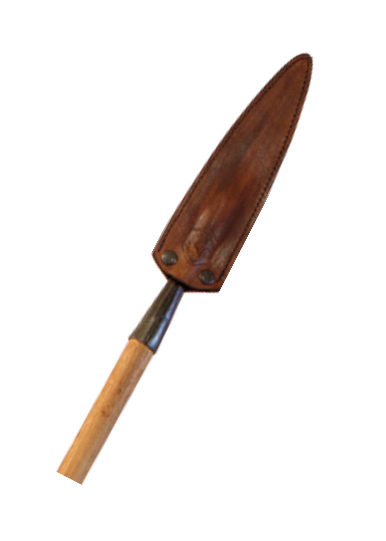 Imagen única de: Lanza Congo Africana, Cóndor