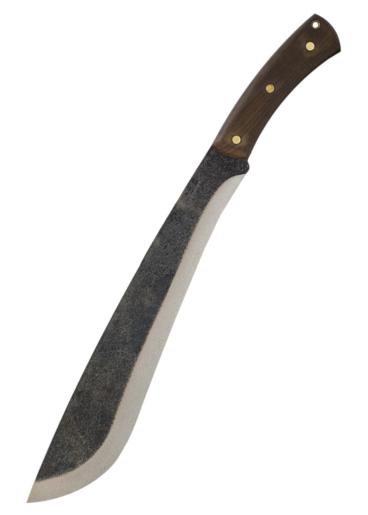 Imagen única de: Jungolo Machete, Cóndor