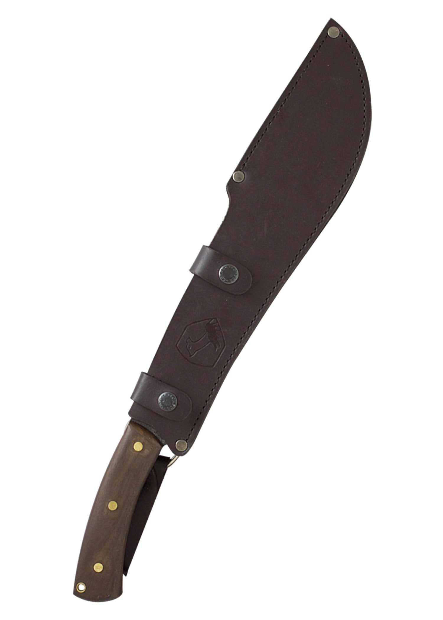 Imagen única de: Jungolo Machete, Cóndor