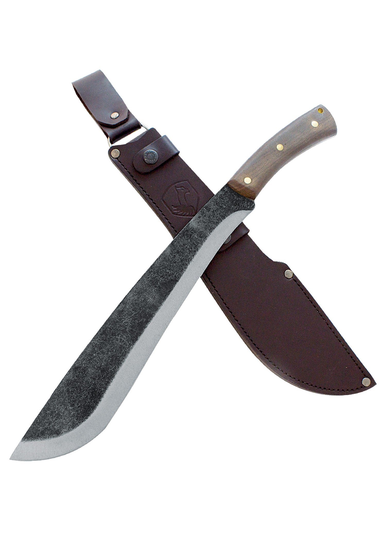 Imagen única de: Jungolo Machete, Cóndor