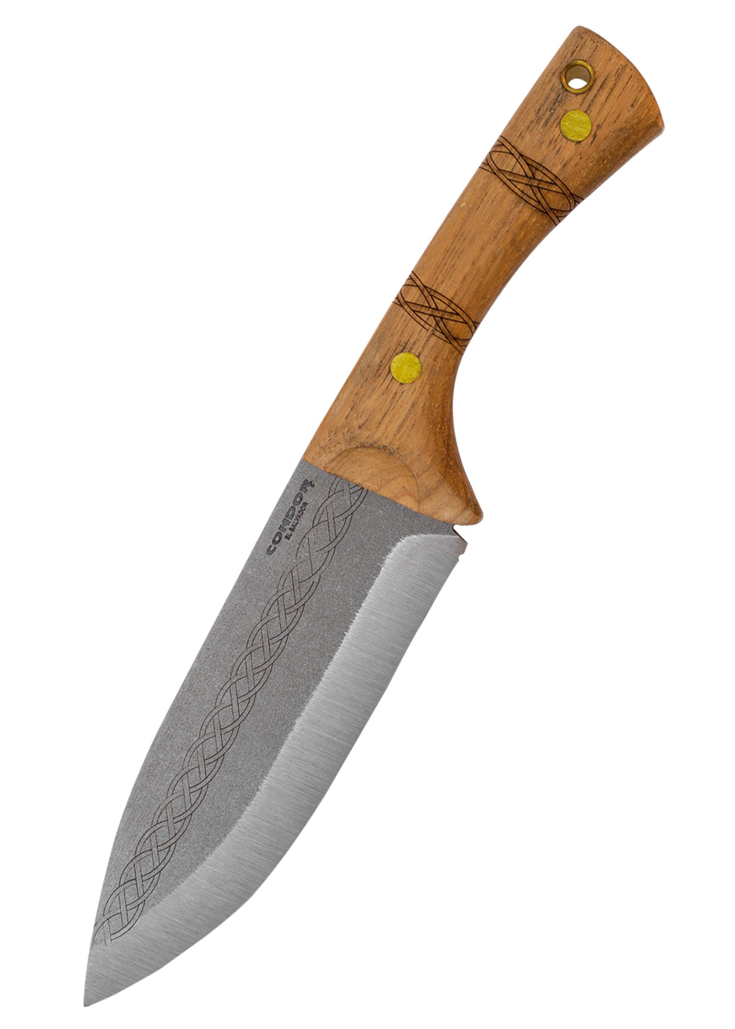 Imagen única de: Cuchillo Pictus, Cóndor