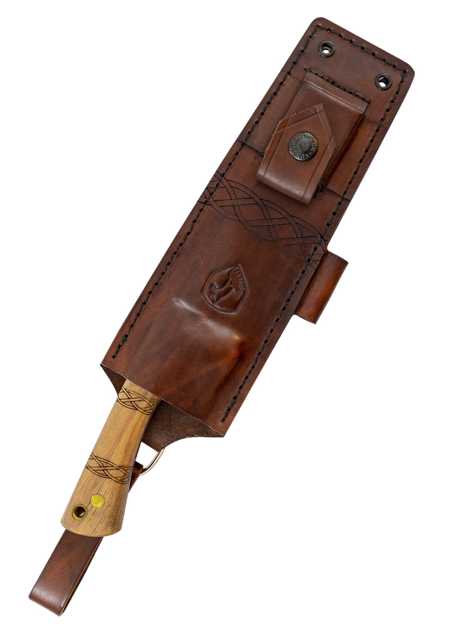 Imagen única de: Cuchillo Pictus, Cóndor