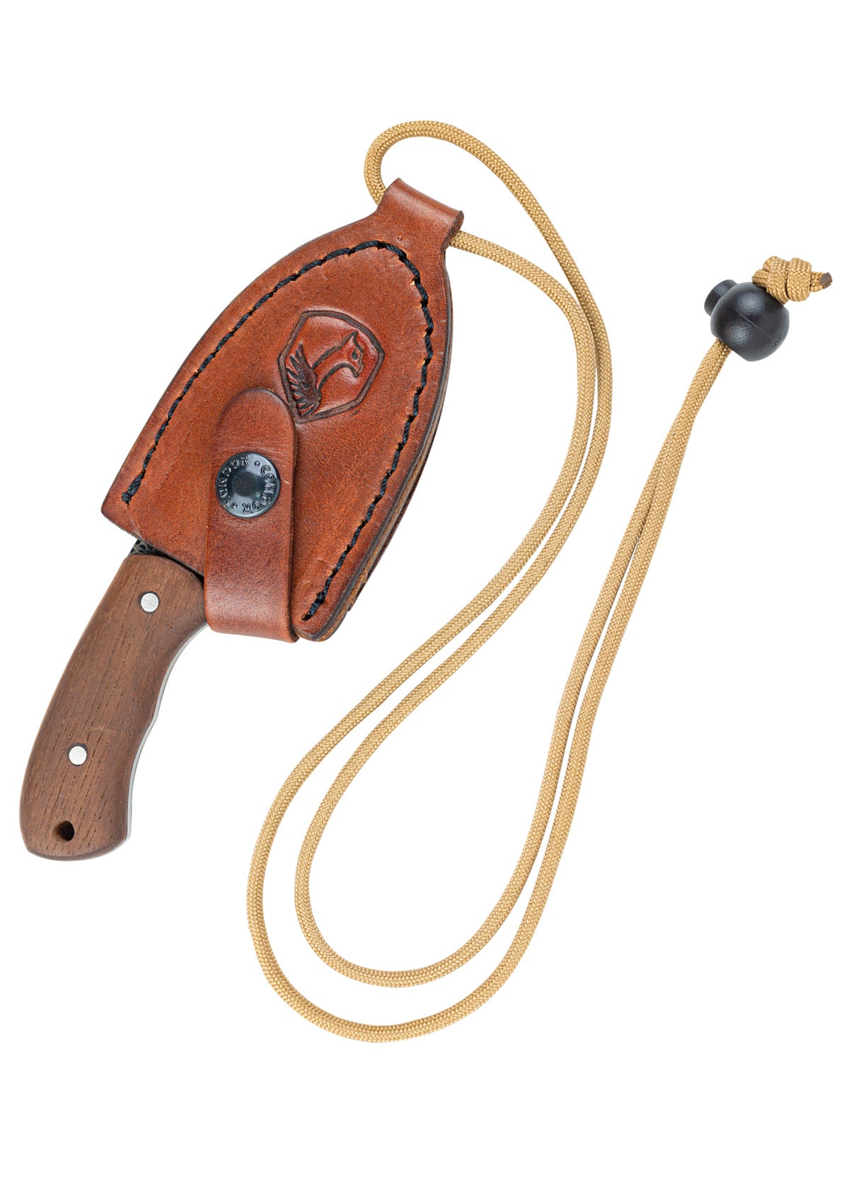 Imagen única de: Cuchillo De Cuello De Escarabajo, Cóndor