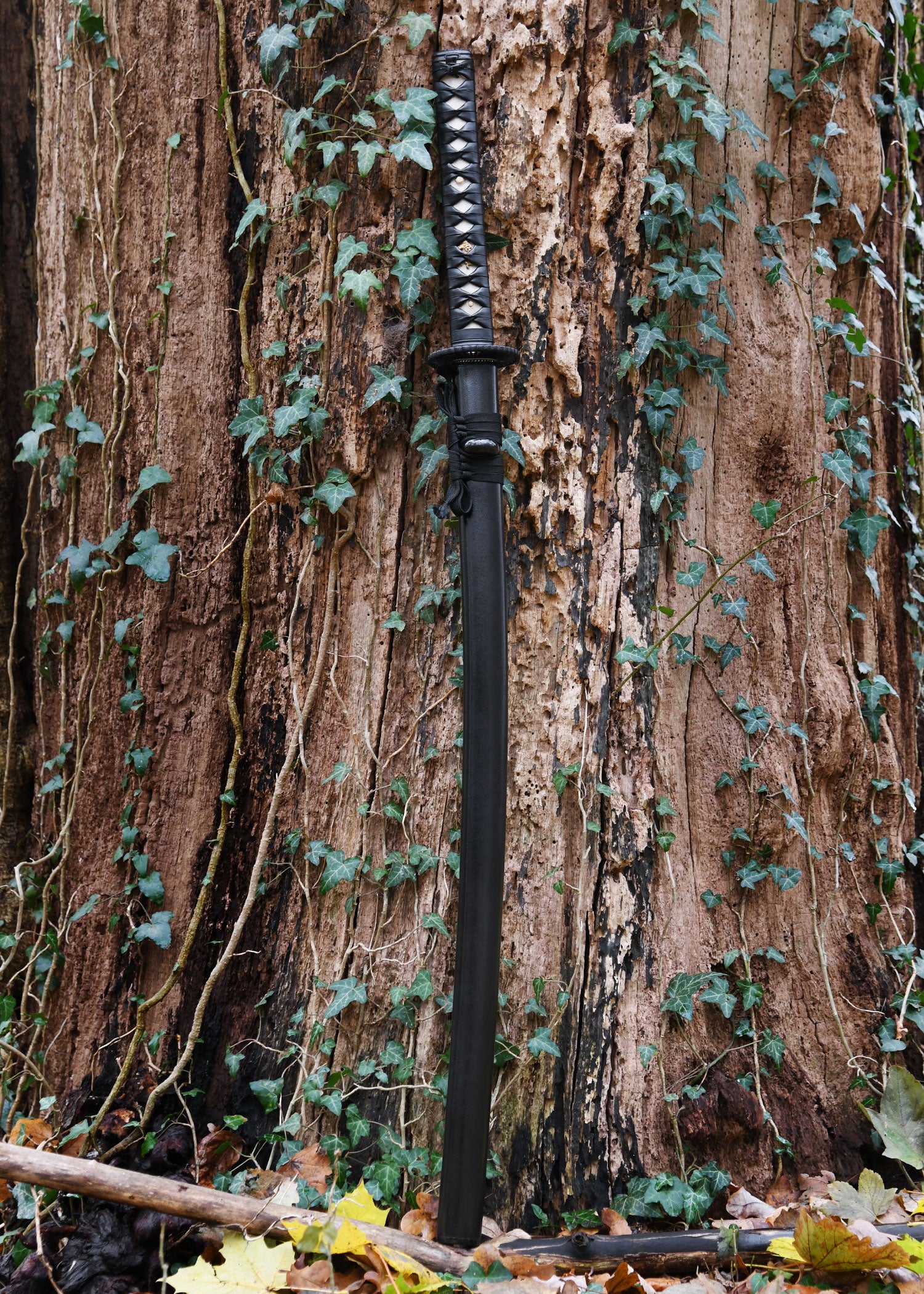 Imagen única de: Práctica Plus Katana