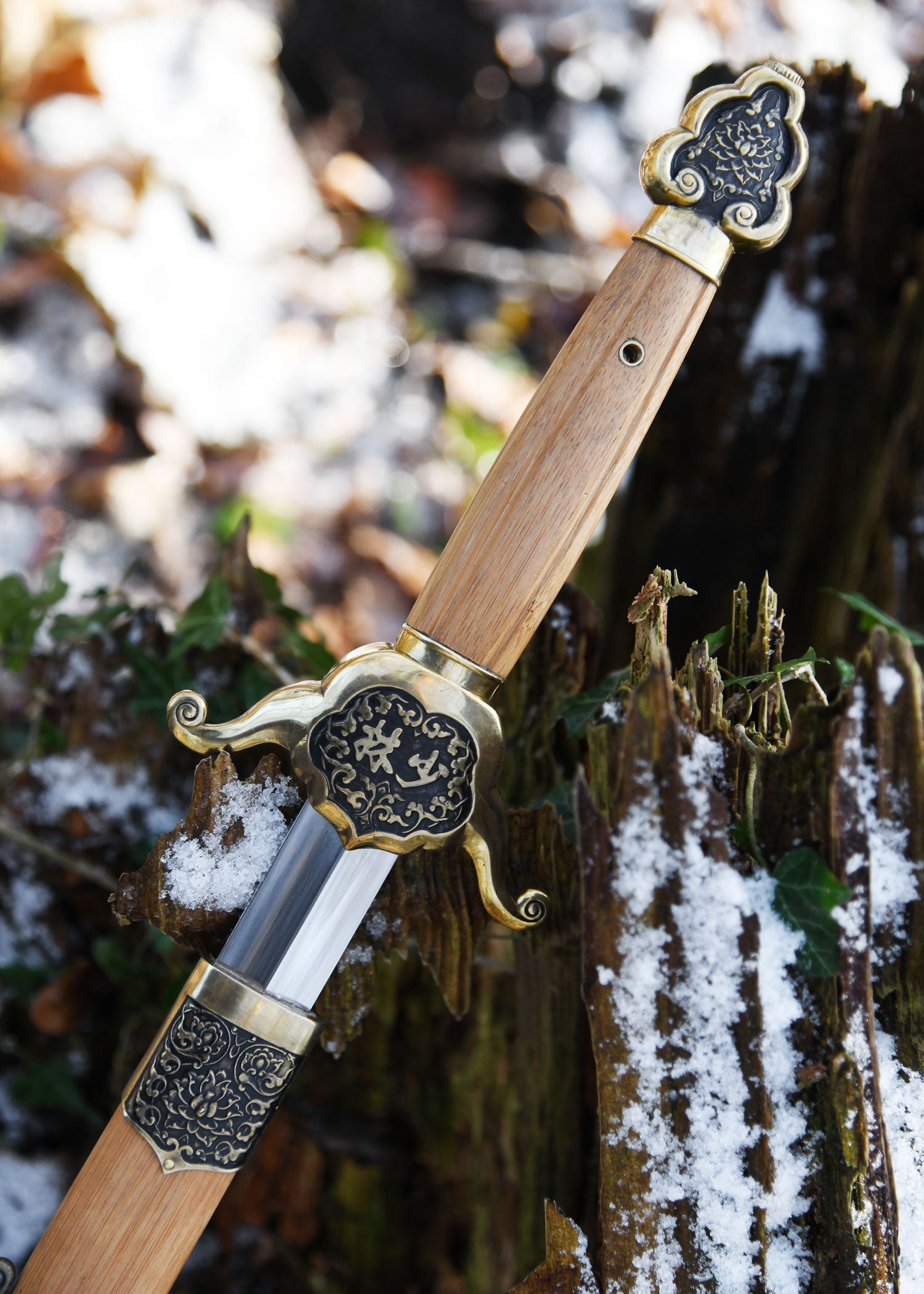 Imagen única de: Shaolin Jian