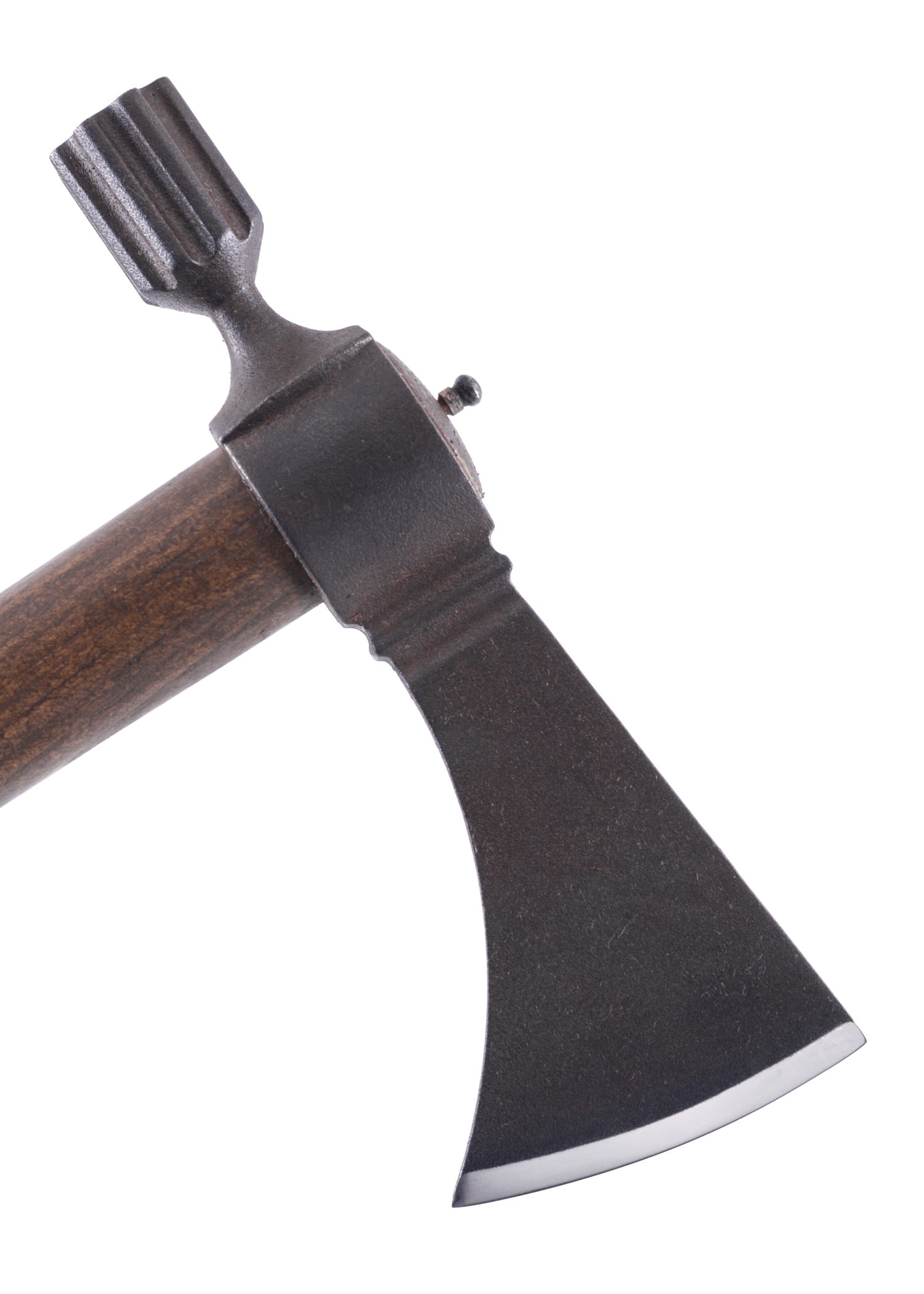 Imagen única de: Pipe Hawk De Paul Chen