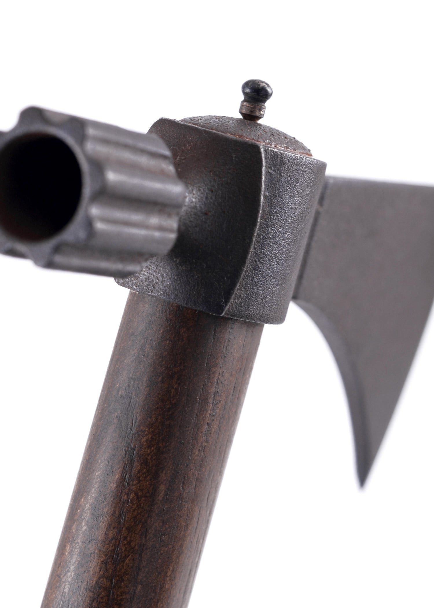 Imagen única de: Pipe Hawk De Paul Chen