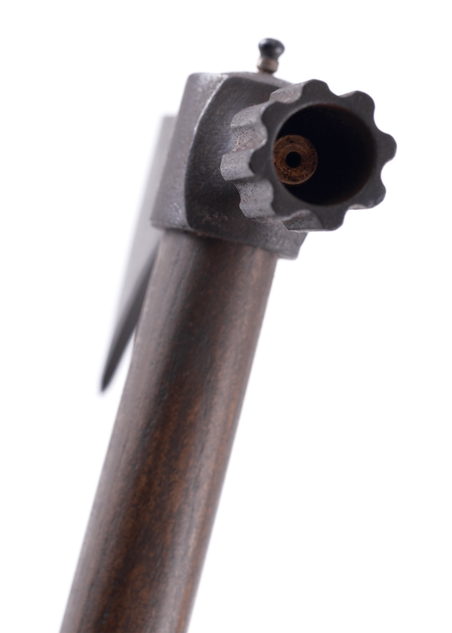 Imagen única de: Pipe Hawk De Paul Chen