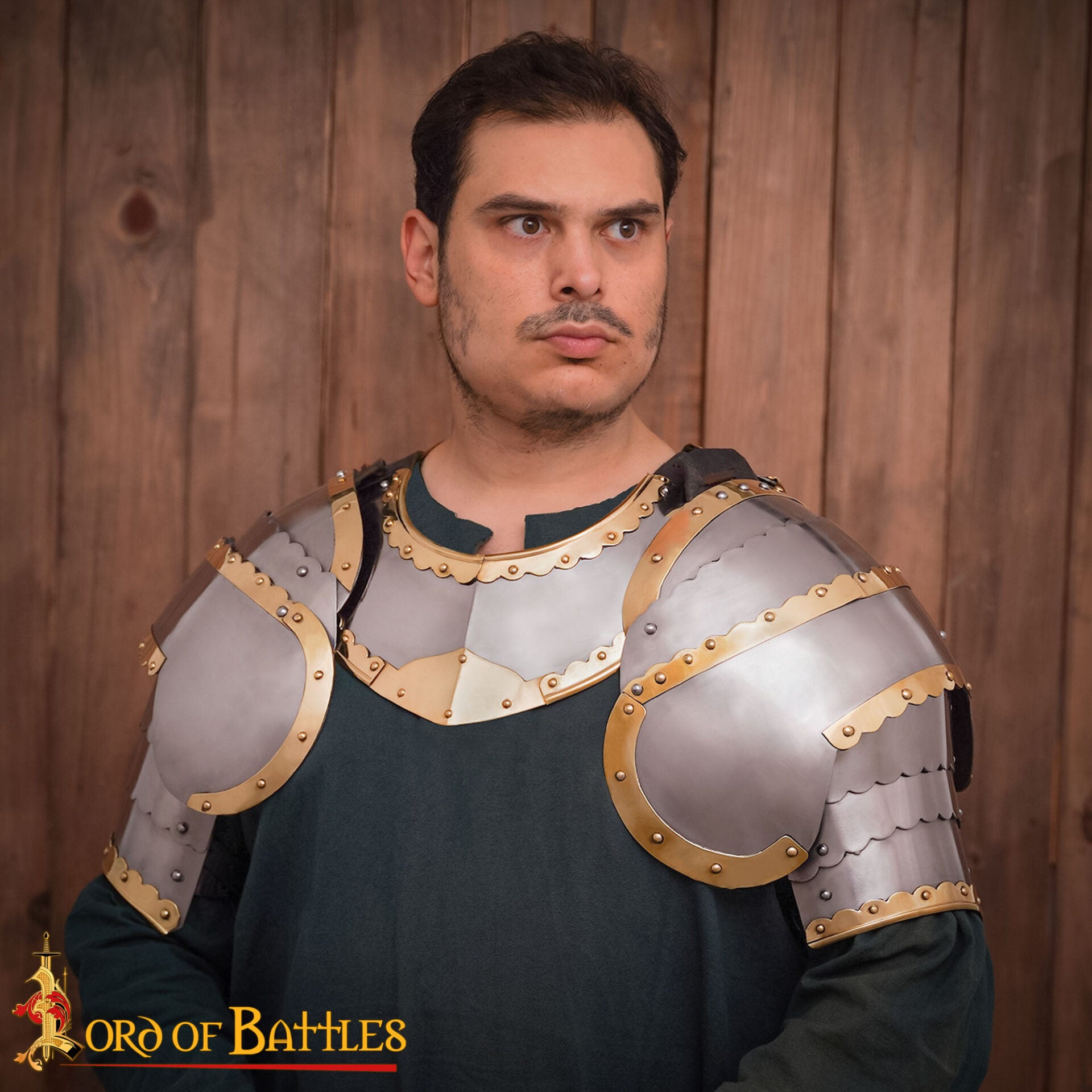 Imagen única de: Húsar Gorget Armadura de Placas con Latón de Calibre 16