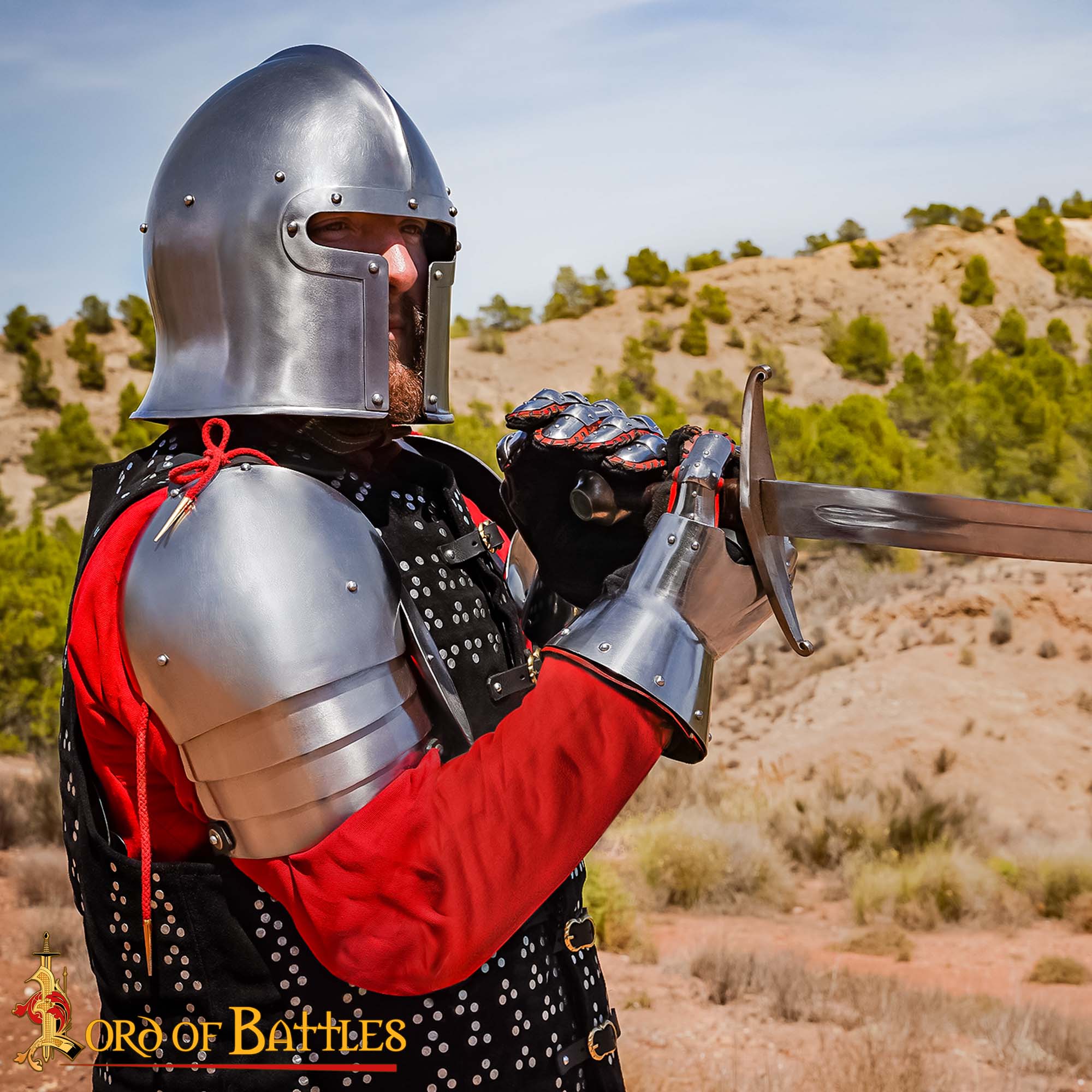 Imagen única de: Pauldrons de Acero del Siglo Xiv-principios del Xv con Rondel - Armadura de Hombro Pulida de Calibre 16