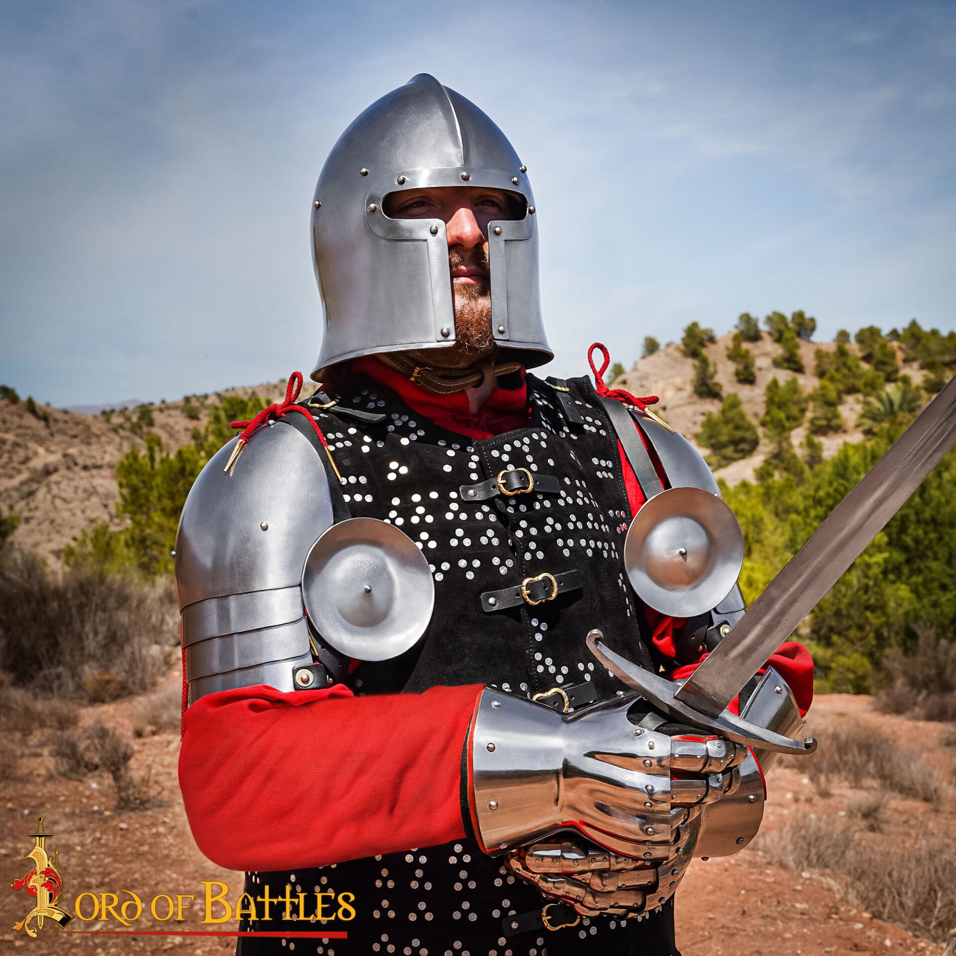 Imagen única de: Pauldrons de Acero del Siglo Xiv-principios del Xv con Rondel - Armadura de Hombro Pulida de Calibre 16