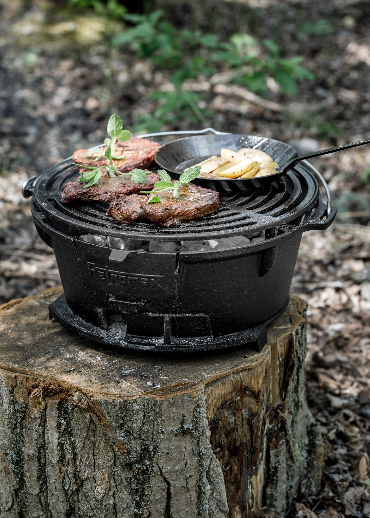 Imagen única de: Parrilla De Fuego Petromax Tg3