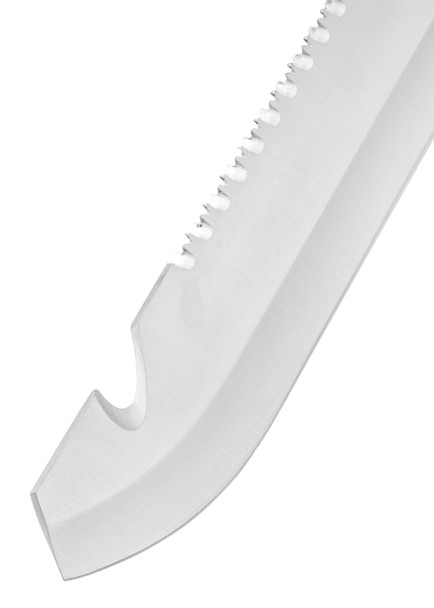 Imagen única de: Machete Raptor Colombiano, Incluida Funda.