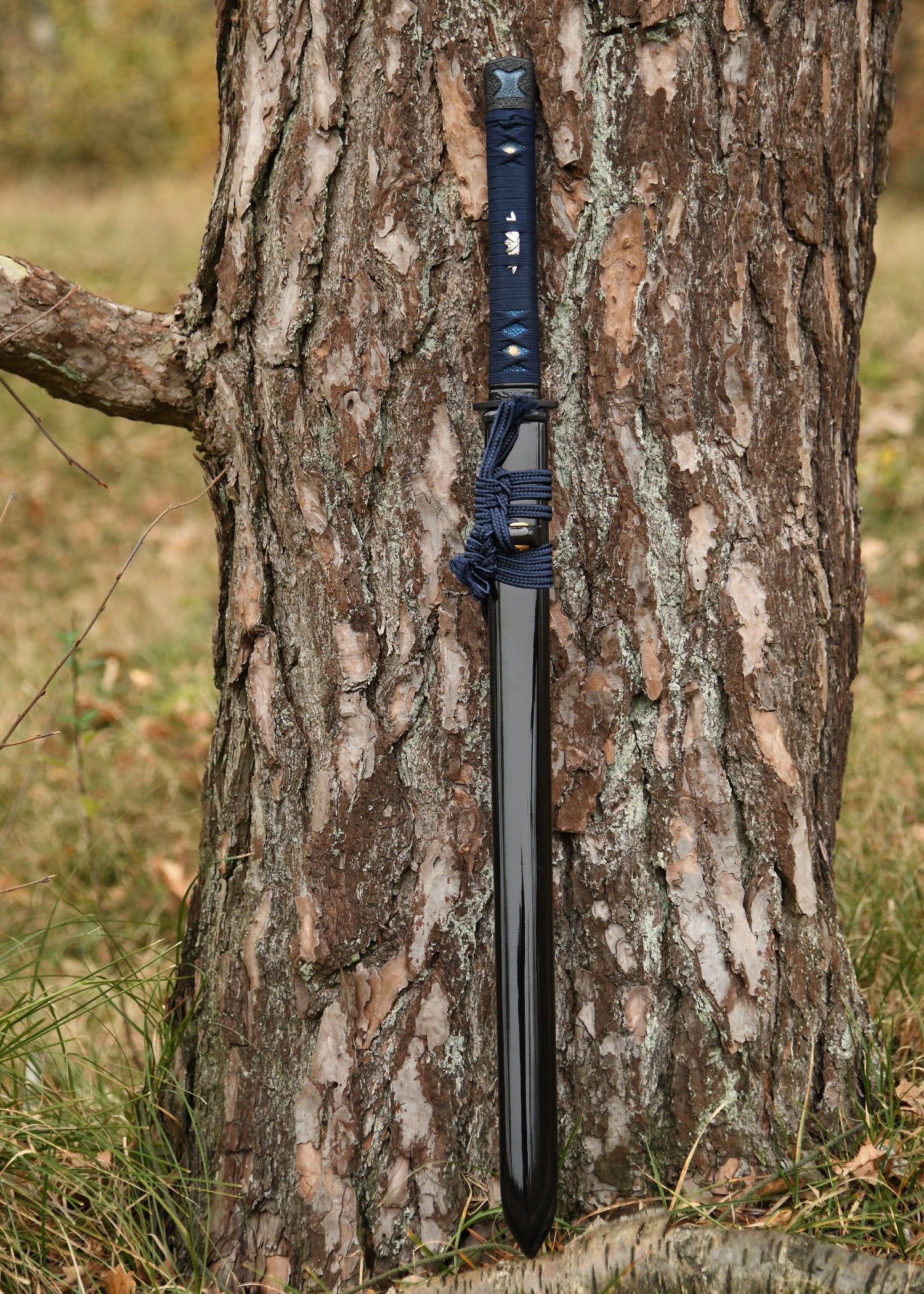 Imagen única de: Kage No Senshi Tsurugi Ken, Espadas De Batalla, Afilada