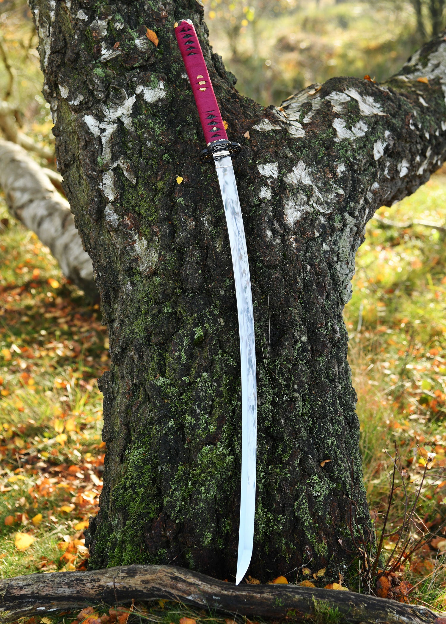 Imagen única de: Koshi Sori O Kissaki Katana, Battleblades