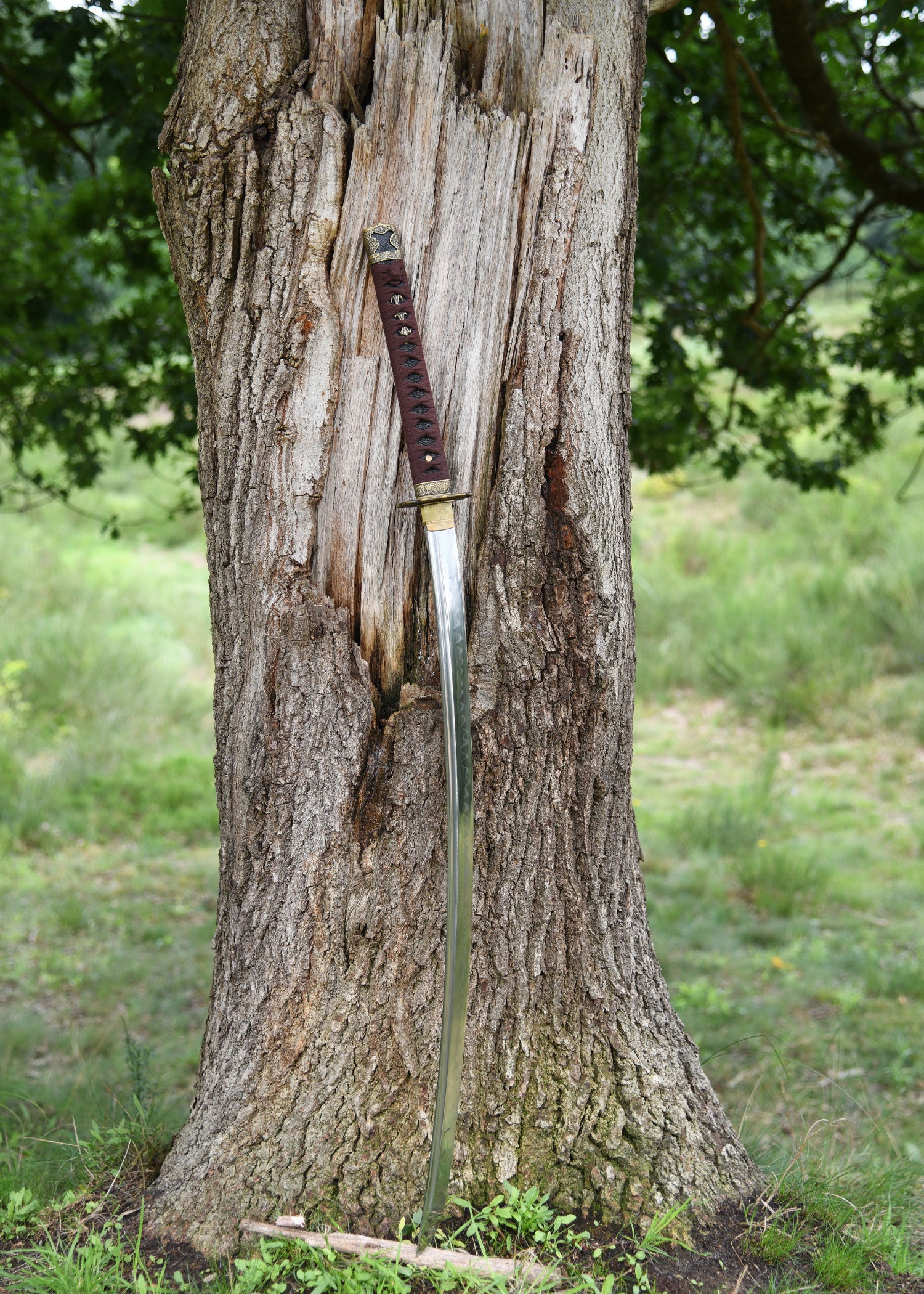 Imagen única de: Sengoku Busho Shinken, Battleblades