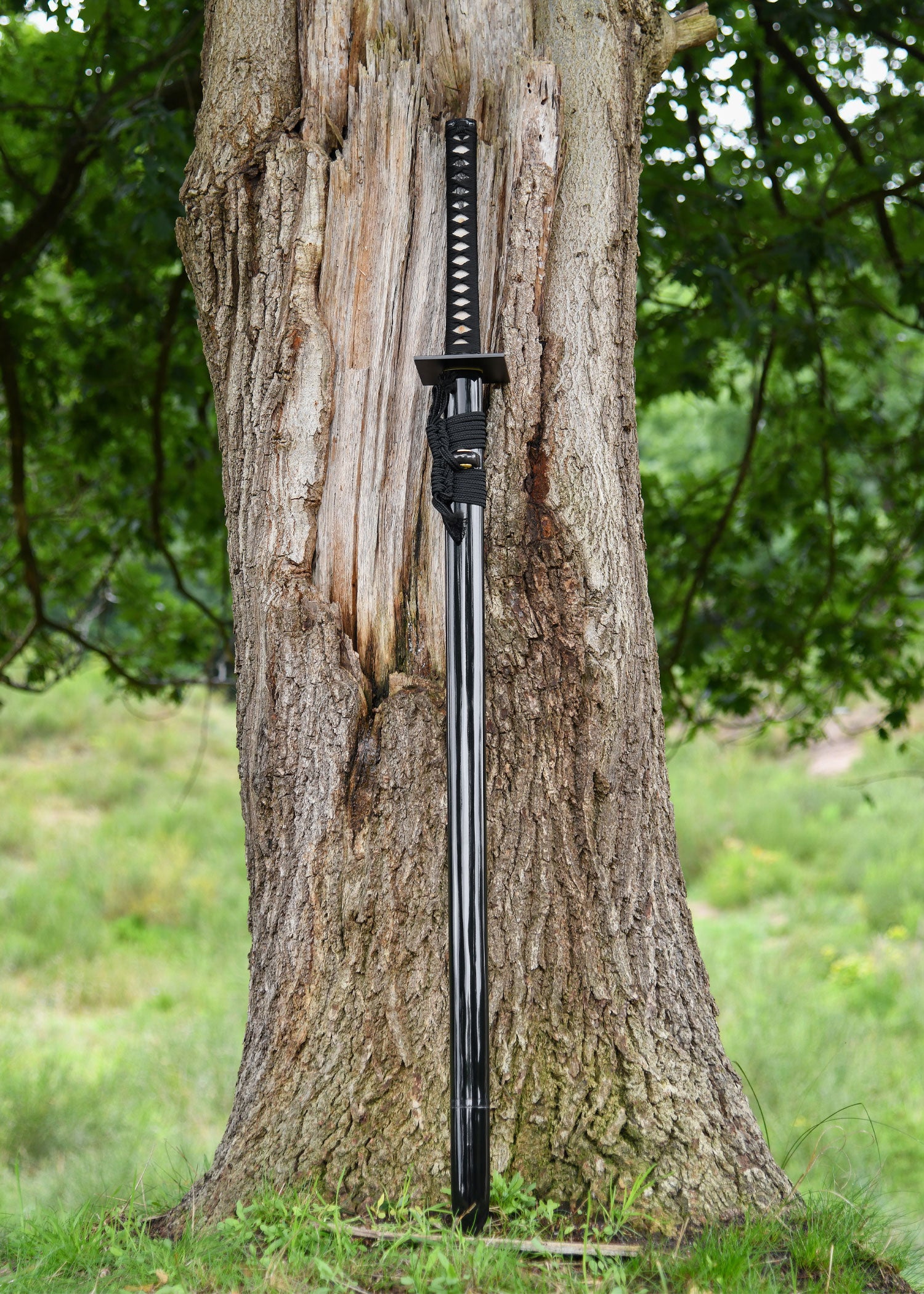 Imagen única de: Shinobi Chokuto, Espadas De Batalla