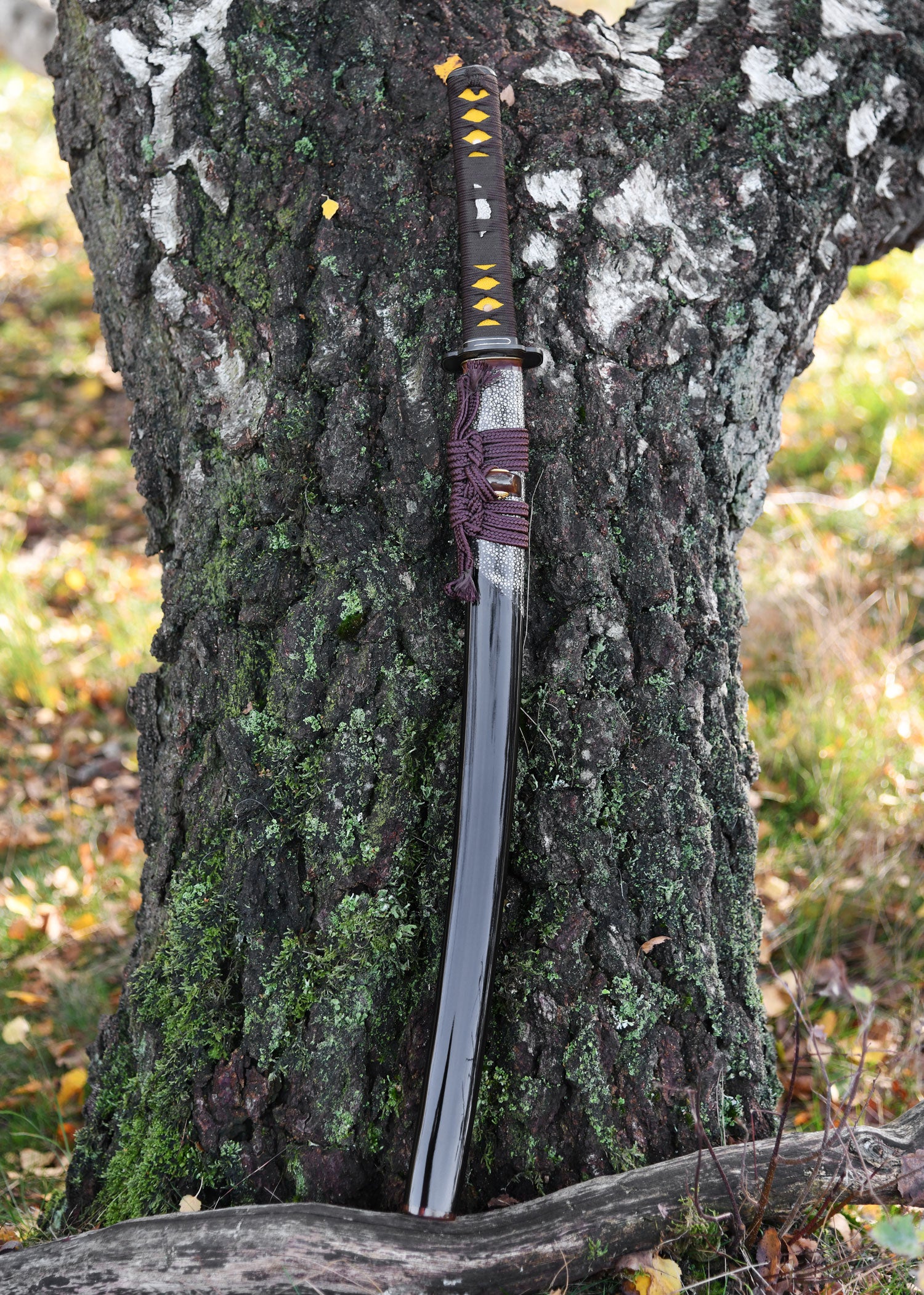 Imagen única de: Senshi Erai Hito No Wakizashi, Battleblades