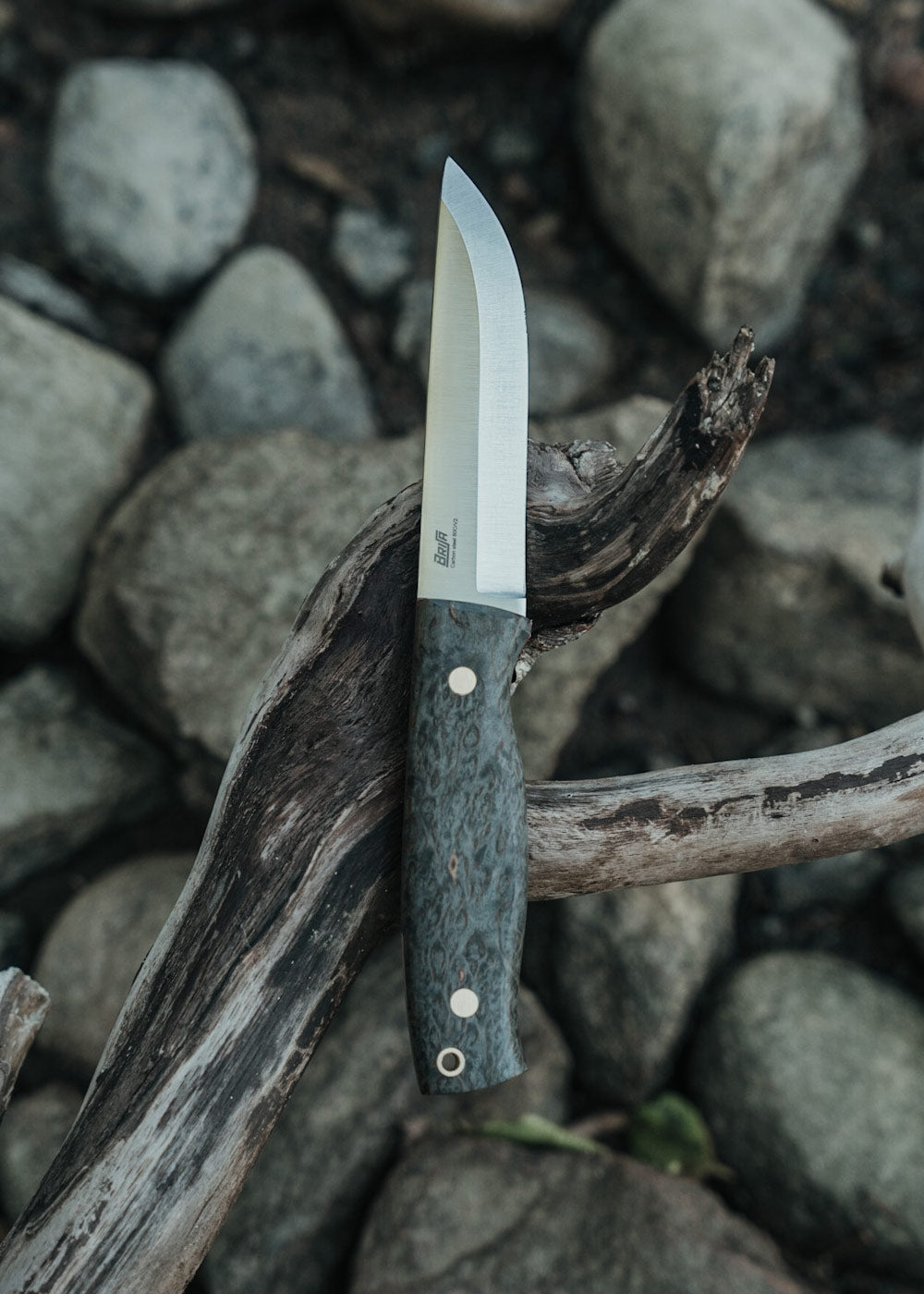 Imagen única de: Brisa Trooper 115 - Abedul Rizado Estabilizado