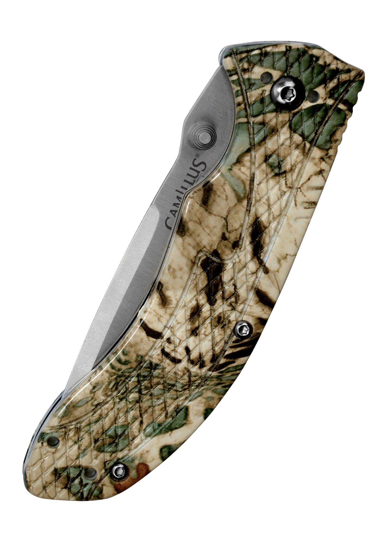 Imagen única de: Camilo Guise, Navaja De Bolsillo