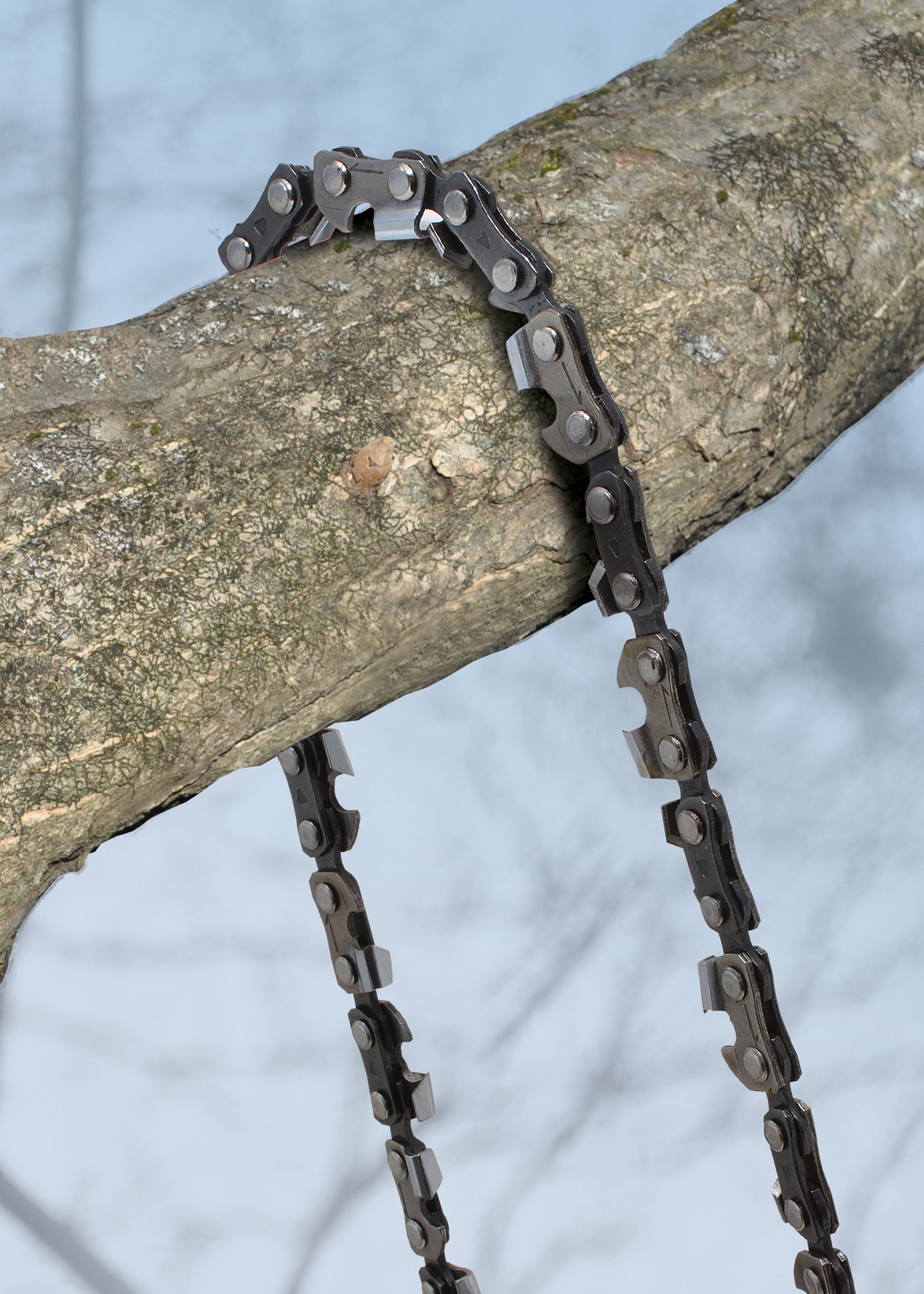 Imagen única de: Camillus Highlimb, Motosierra Manual