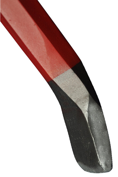 Imagen única de: Hombre Libre