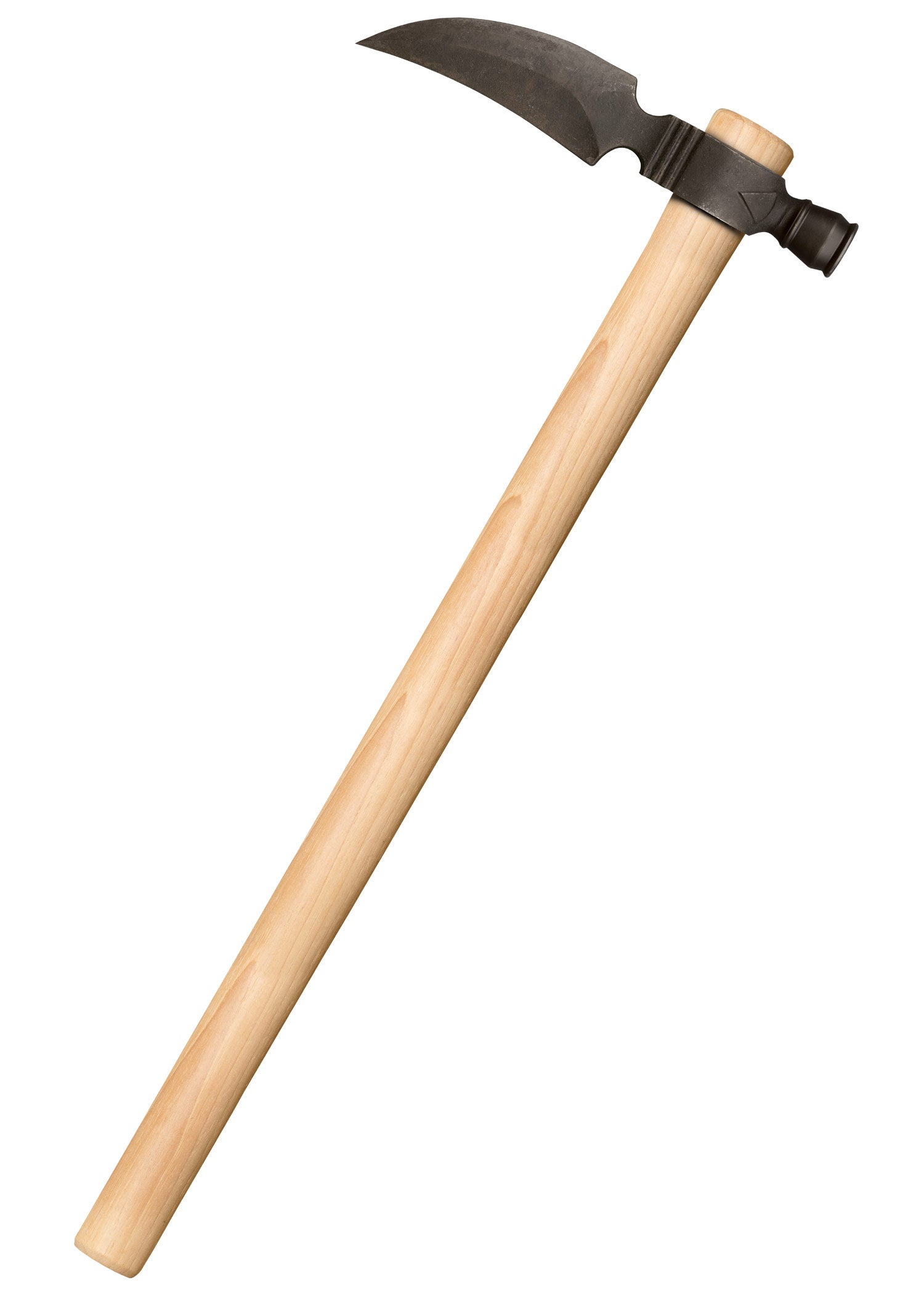 Imagen única de: Halcón Espontón