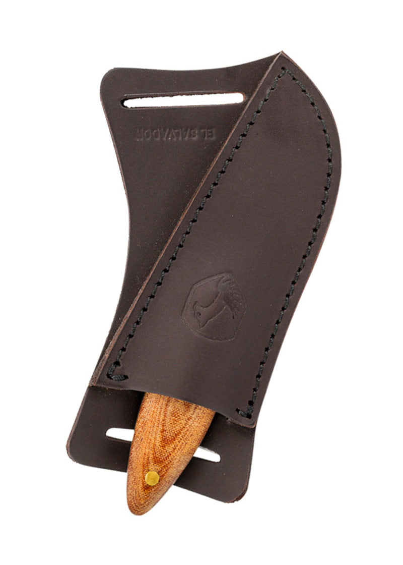 Imagen única de: Tallador De Cañón, Cóndor