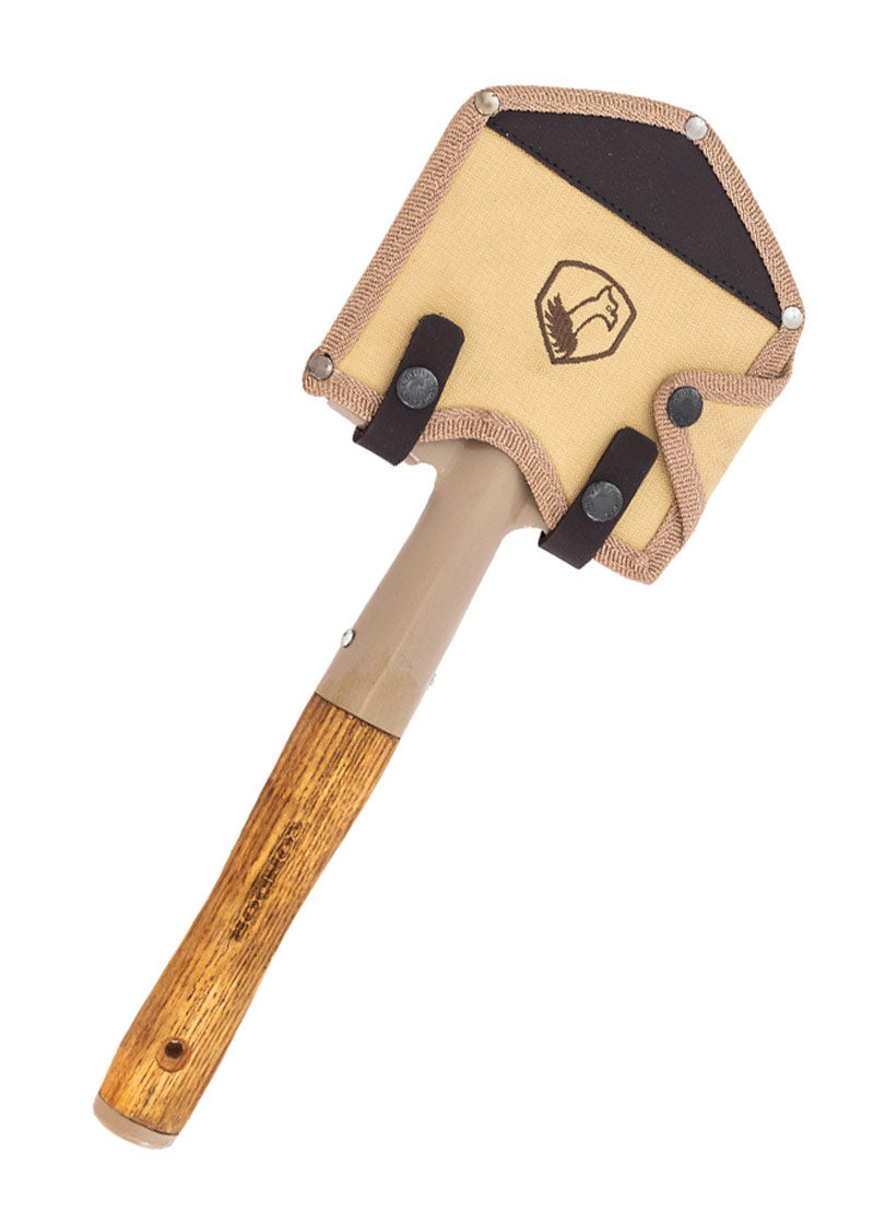 Imagen única de: Pala De Camping, Cóndor