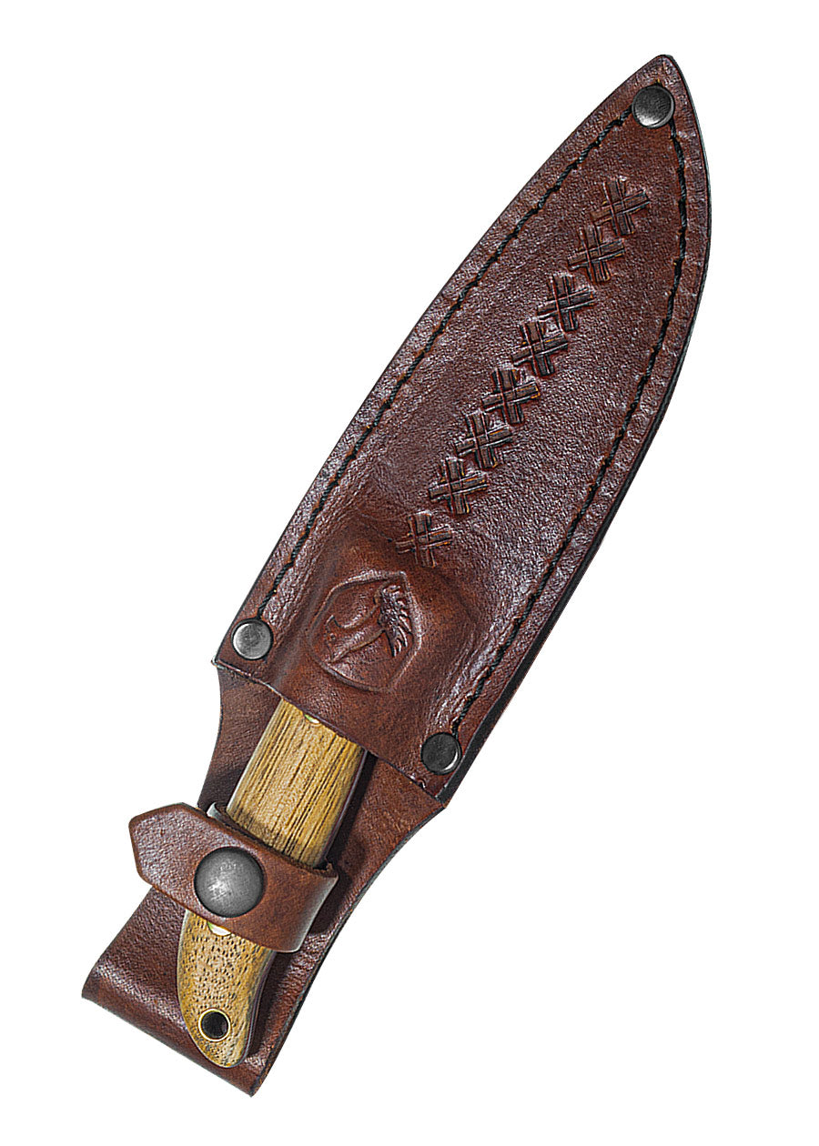 Imagen única de: Cuchillo Austral, Cóndor