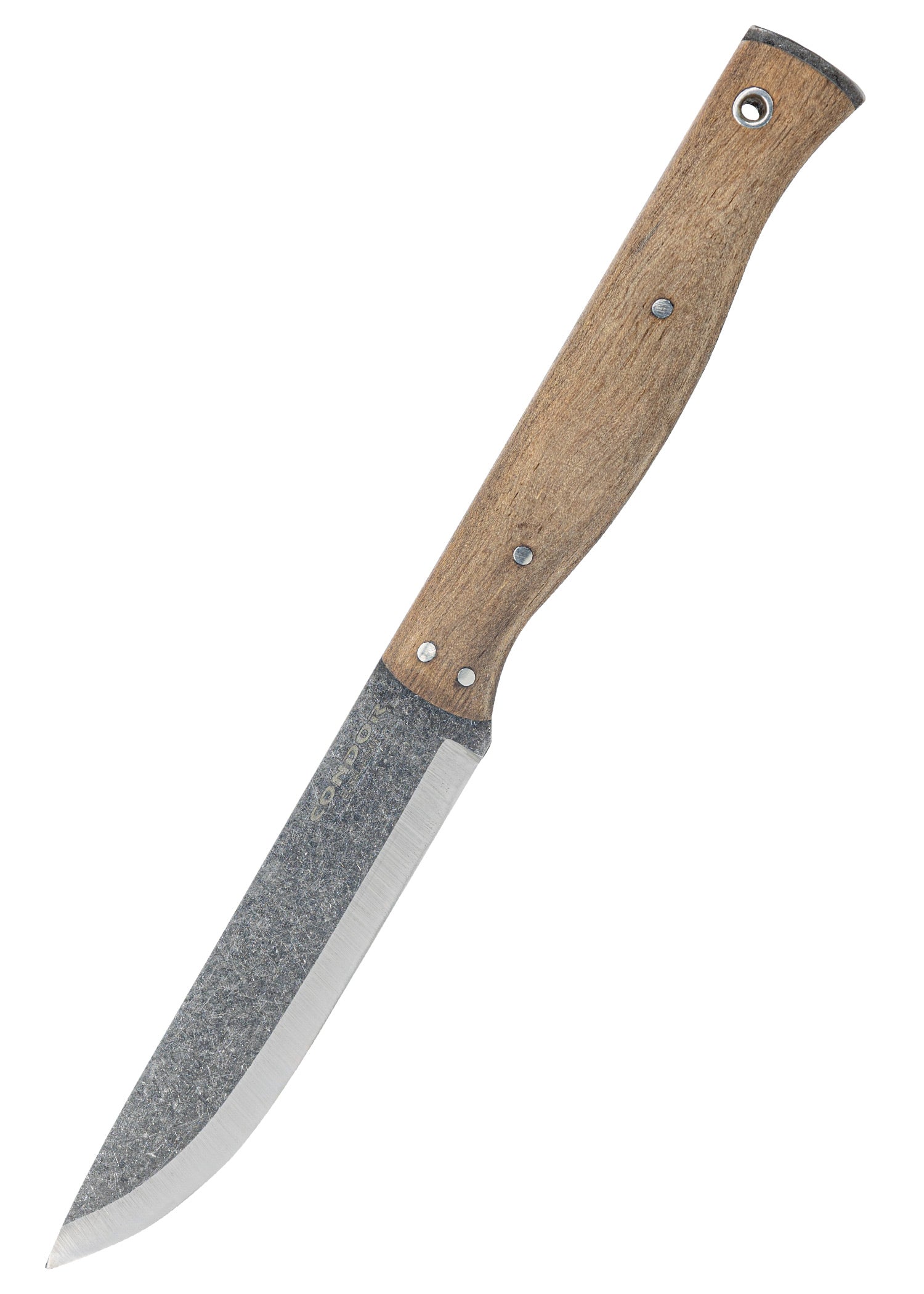 Imagen única de: Cuchillo Estrechosaurio, Cóndor