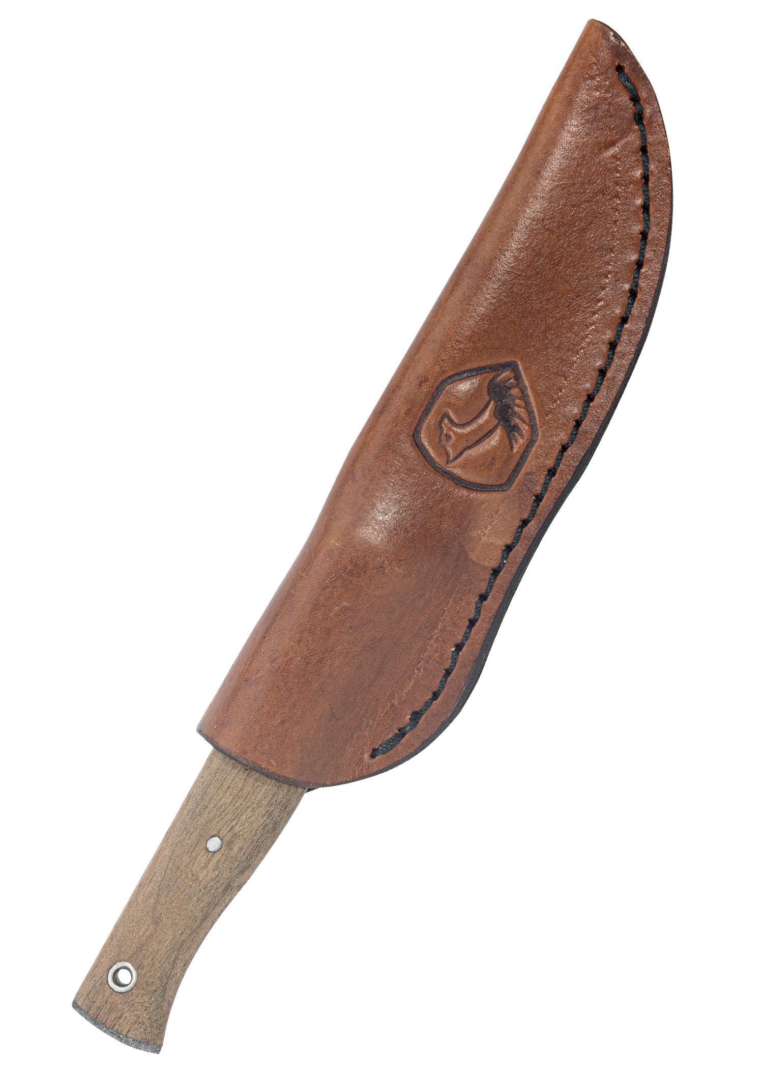 Imagen única de: Cuchillo Estrechosaurio, Cóndor