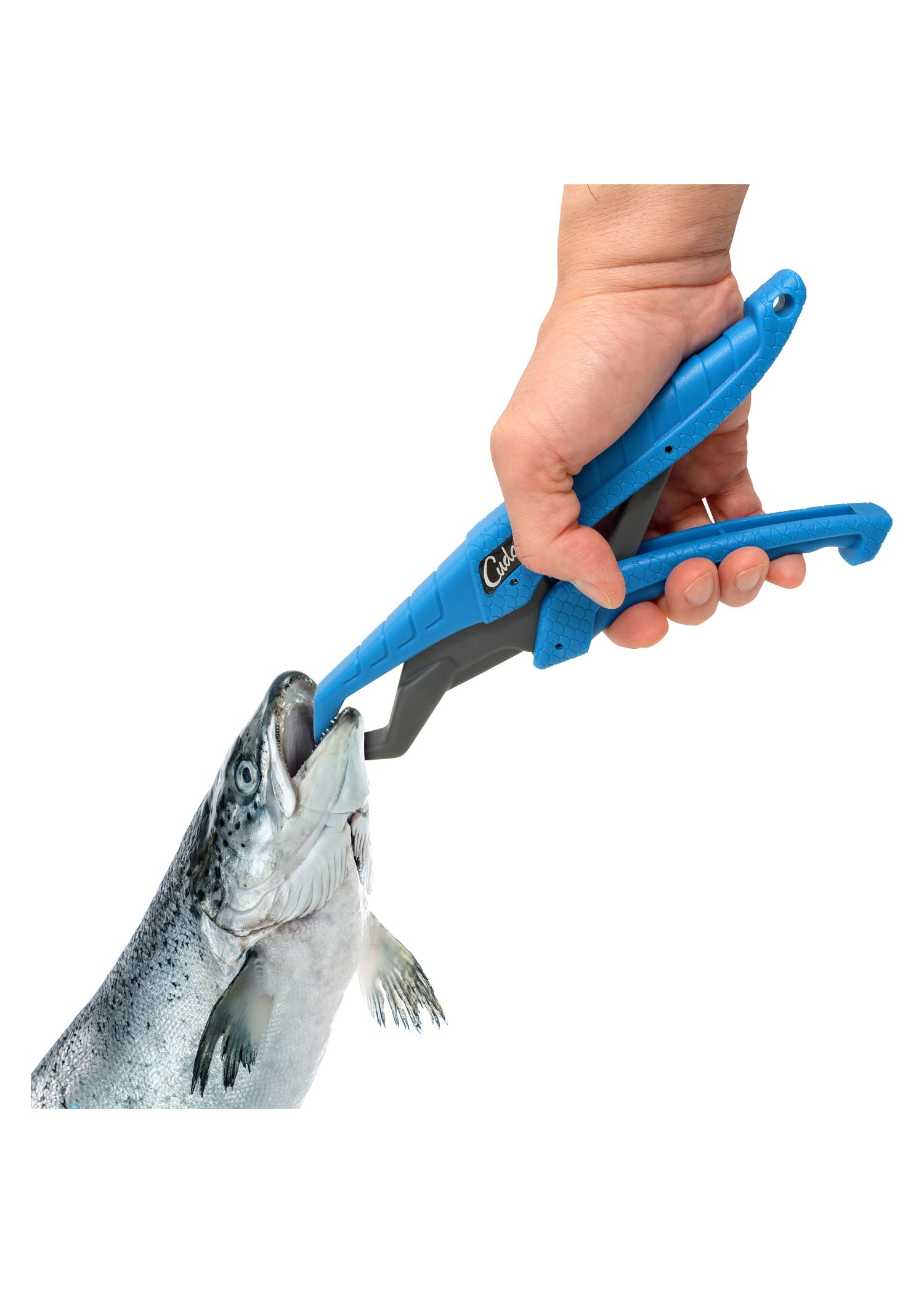 Imagen única de: Pez Flotante, Pinza