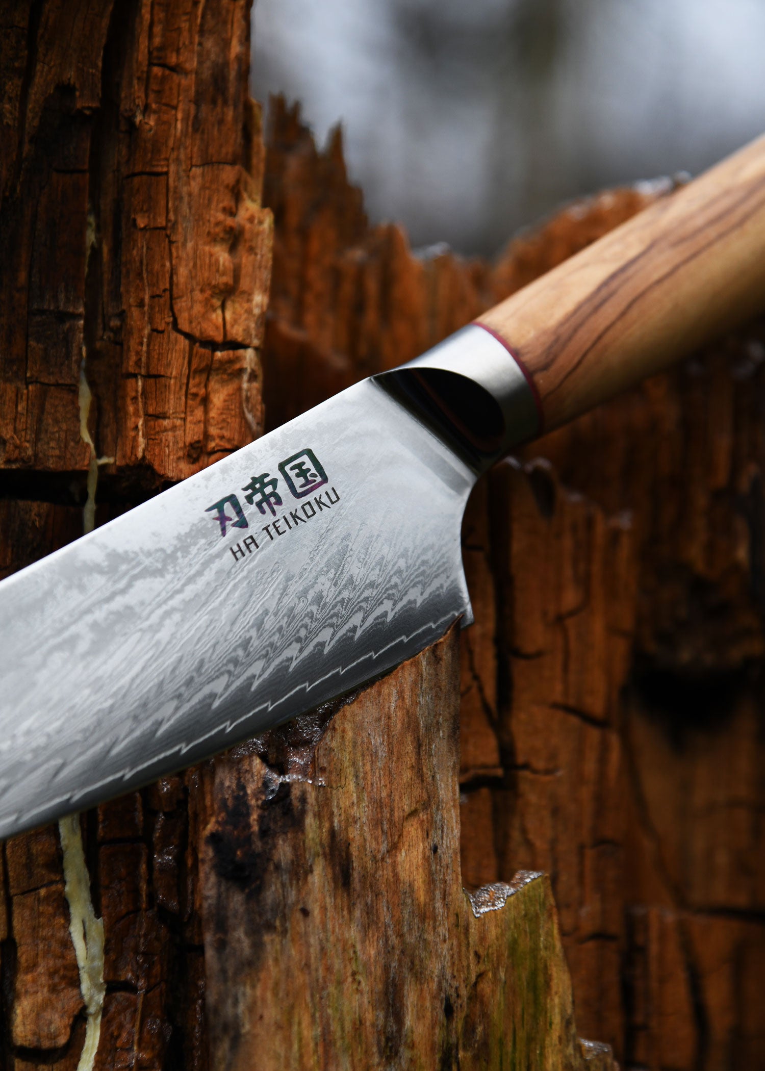 Imagen única de: Cuchillo De Chef, Longitud De Hoja De 16,5 Cm, Acero Damasco