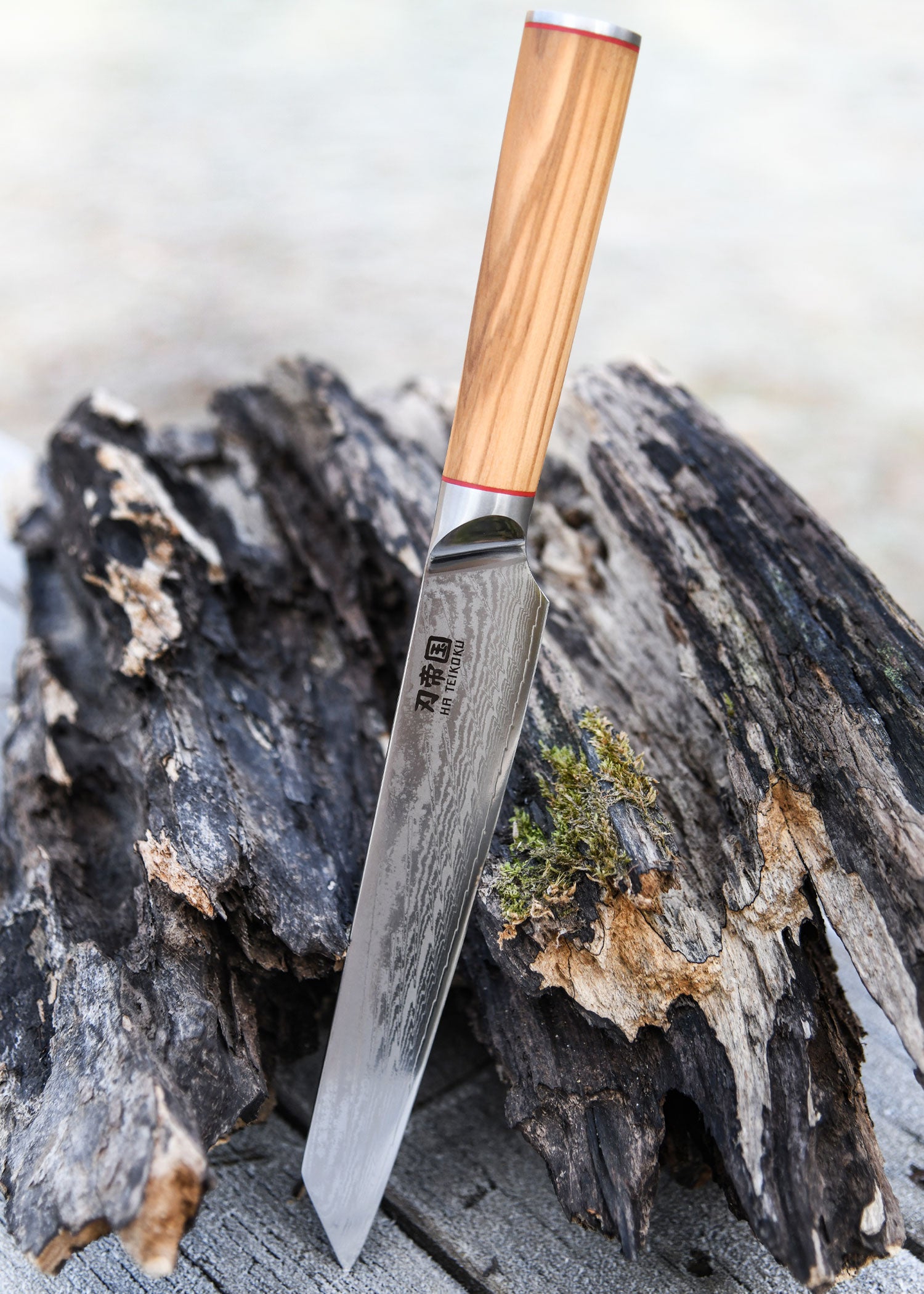 Imagen única de: Cuchillo Jamonero, Acero Damasco