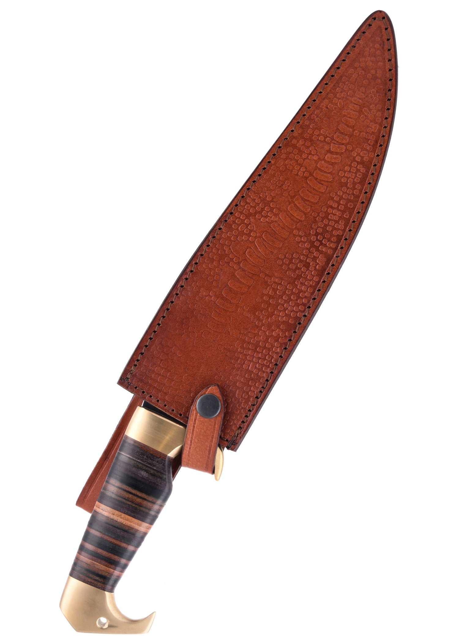 Imagen única de: Abajo Bajo Cuchillos Red Rock Raptor