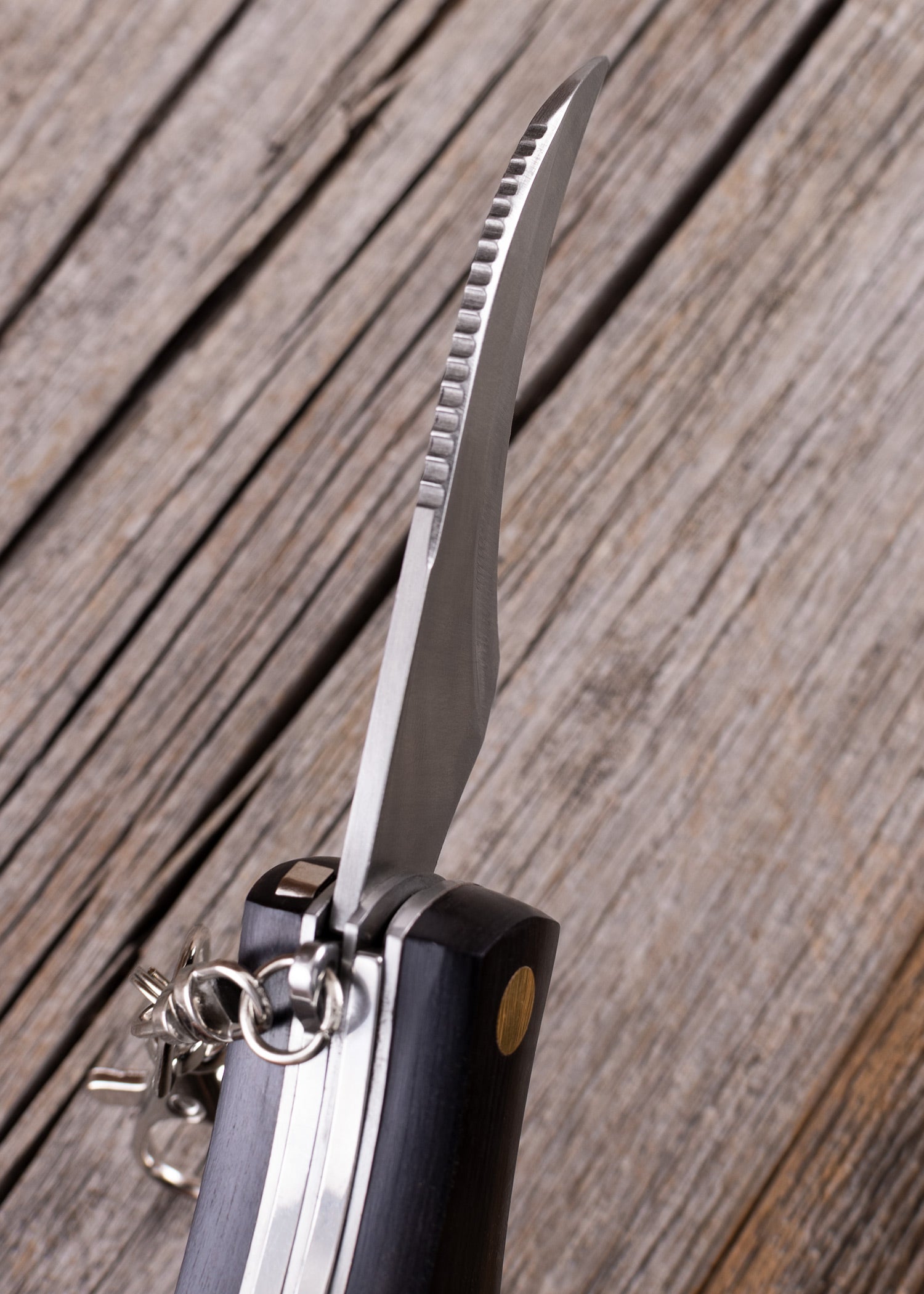 Imagen única de: Navaja De Bolsillo Tipo Seta Con Cepillo