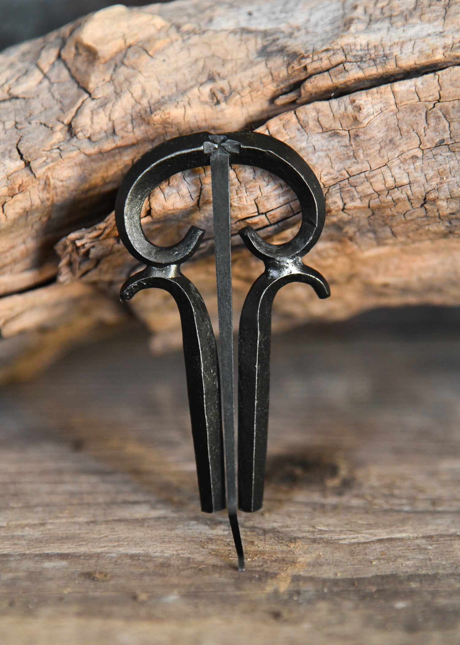 Imagen única de: Arpa Judía