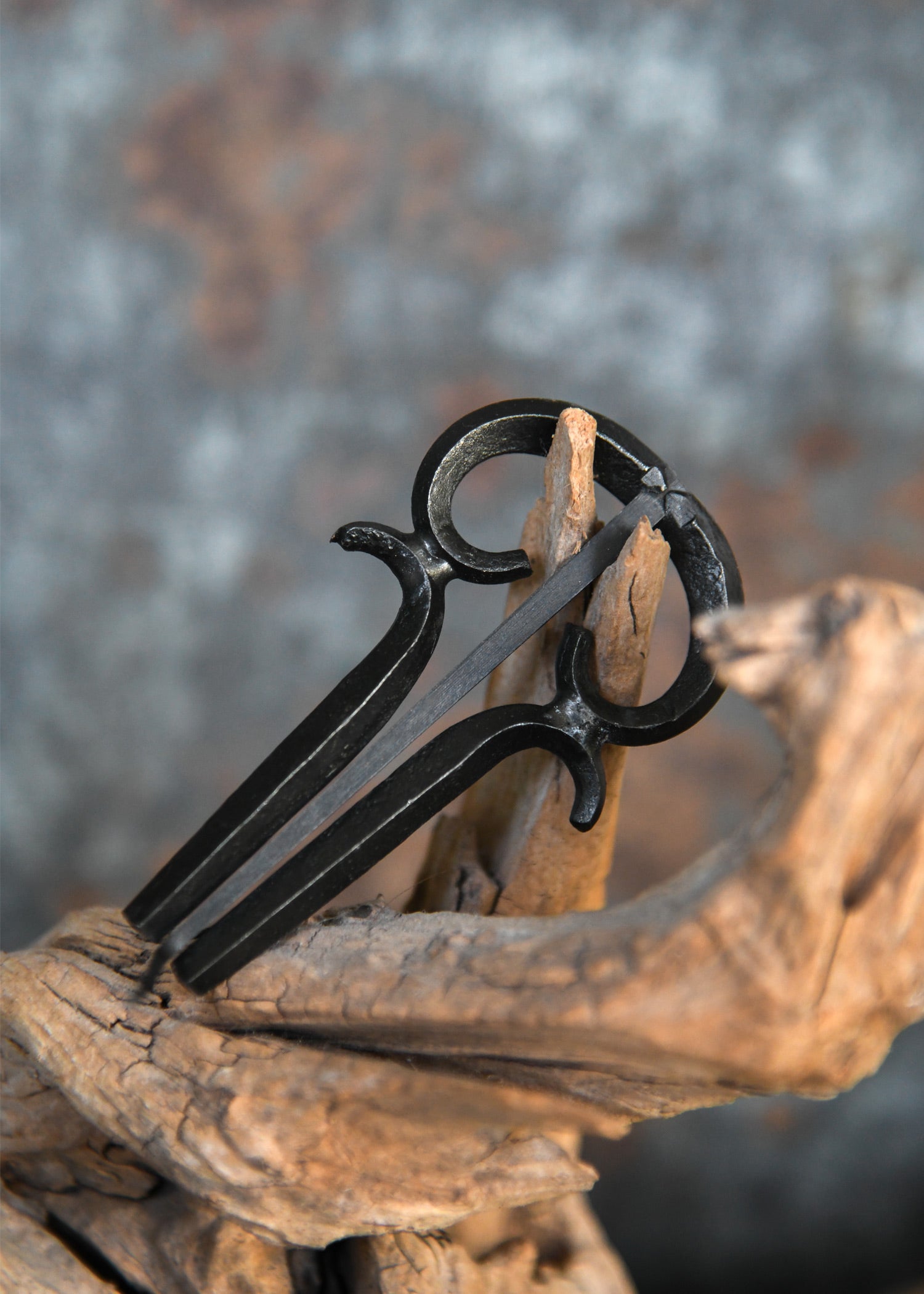 Imagen única de: Arpa Judía